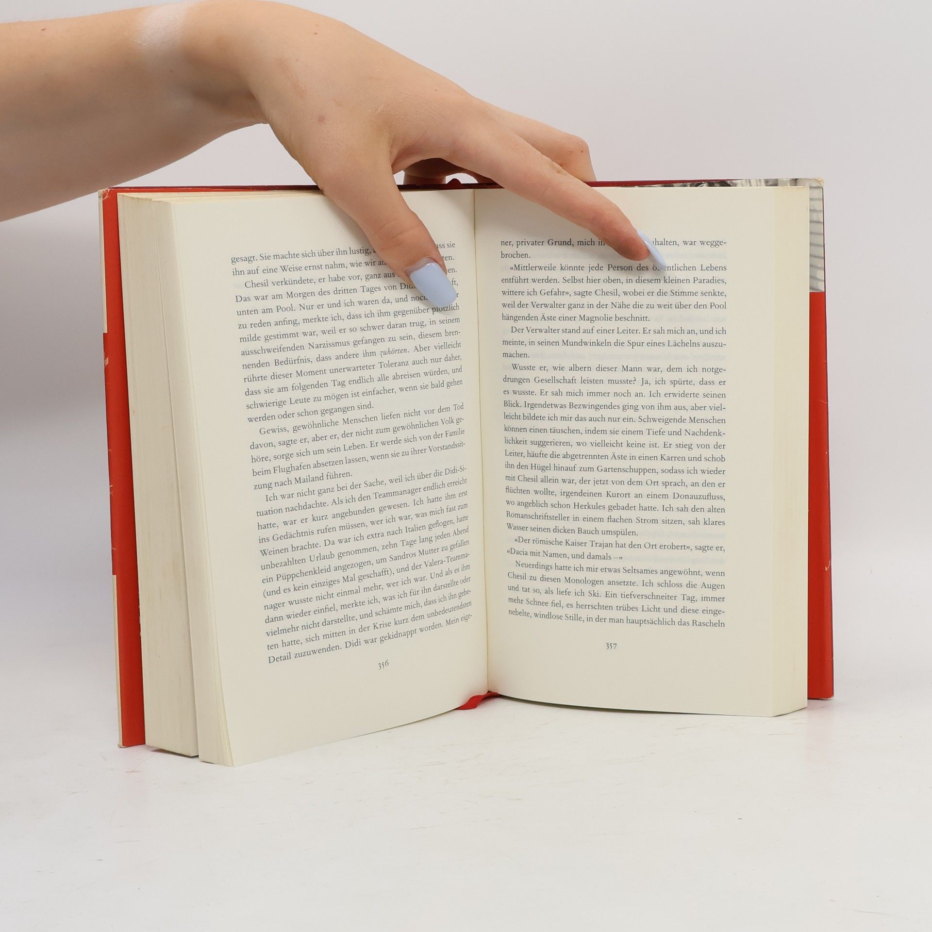 Rachel Kushner Flammen Werfer