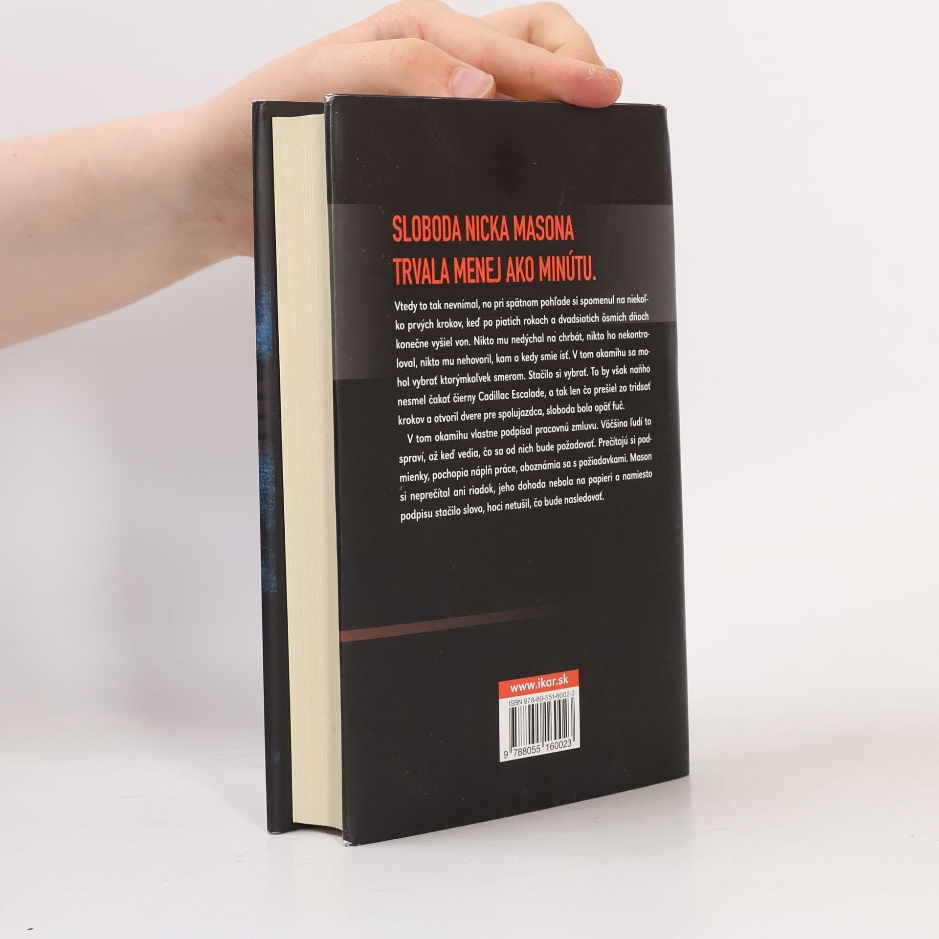 Steve Hamilton Druhý život Nicka Masona
