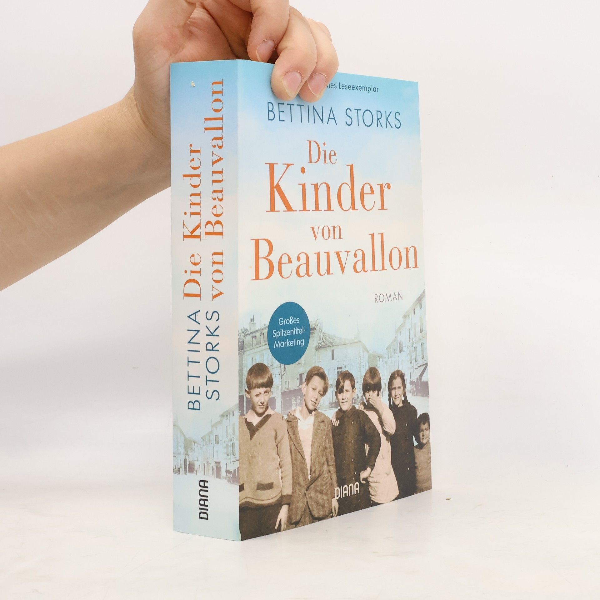 Bettina Storks Die Kinder von Beauvallon