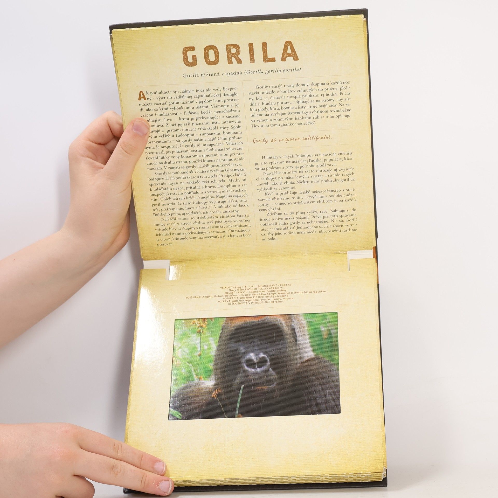Various authors Safari