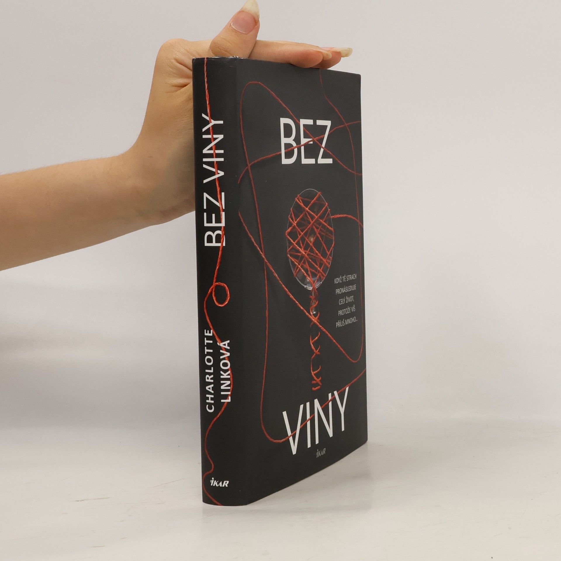 Charlotte Link Bez viny