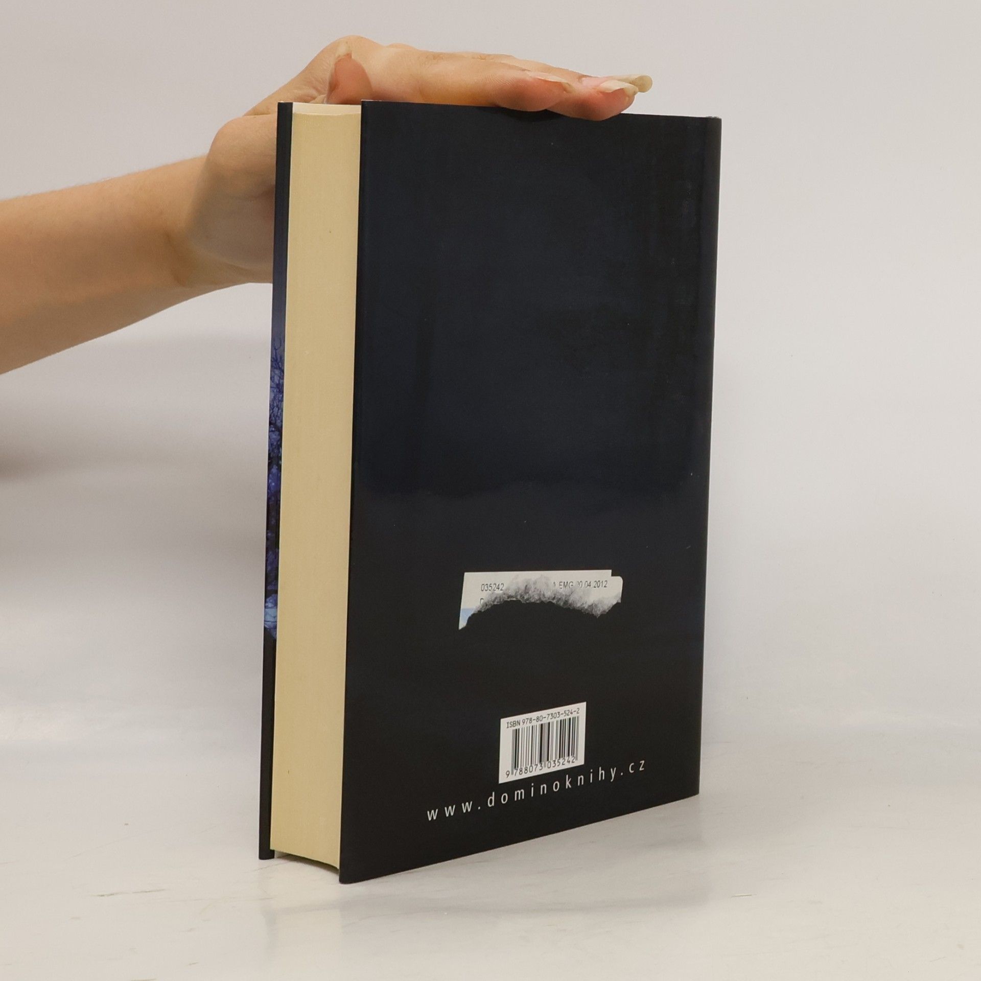 Jeffery Deaver Příští oběti