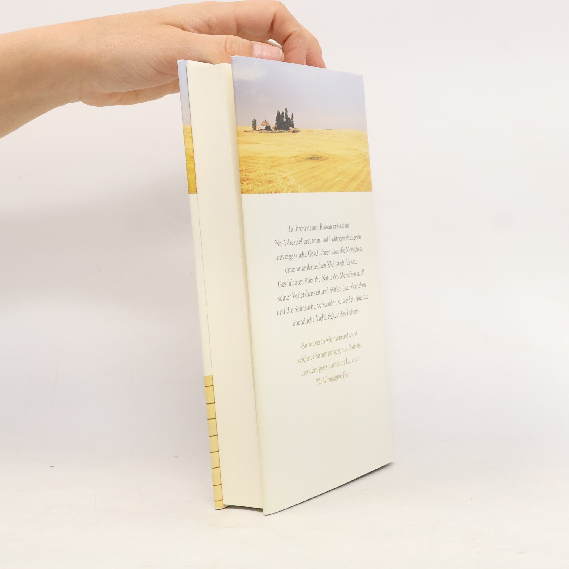 Elizabeth Strout Alles ist möglich