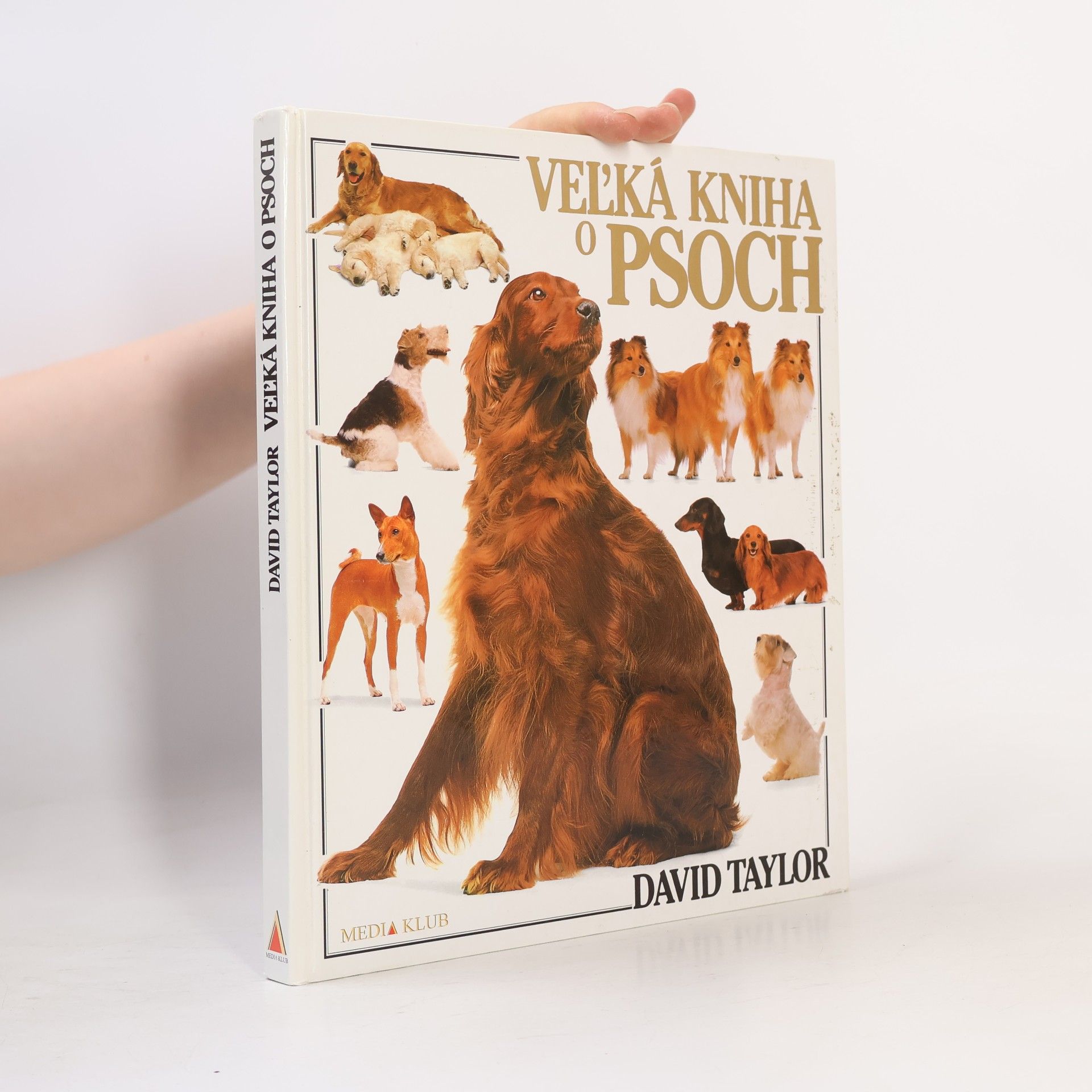 David Taylor Veľká kniha o psoch