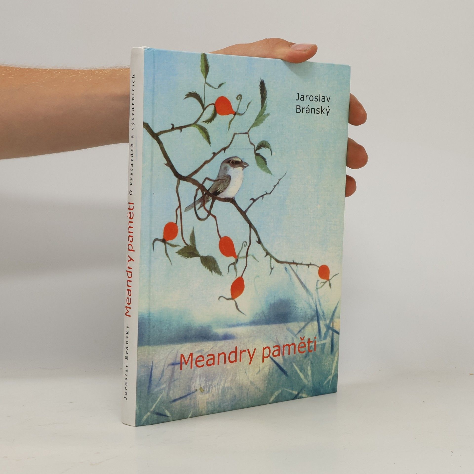 Jaroslav Bránský Meandry paměti. O výstavách a výtvarnících