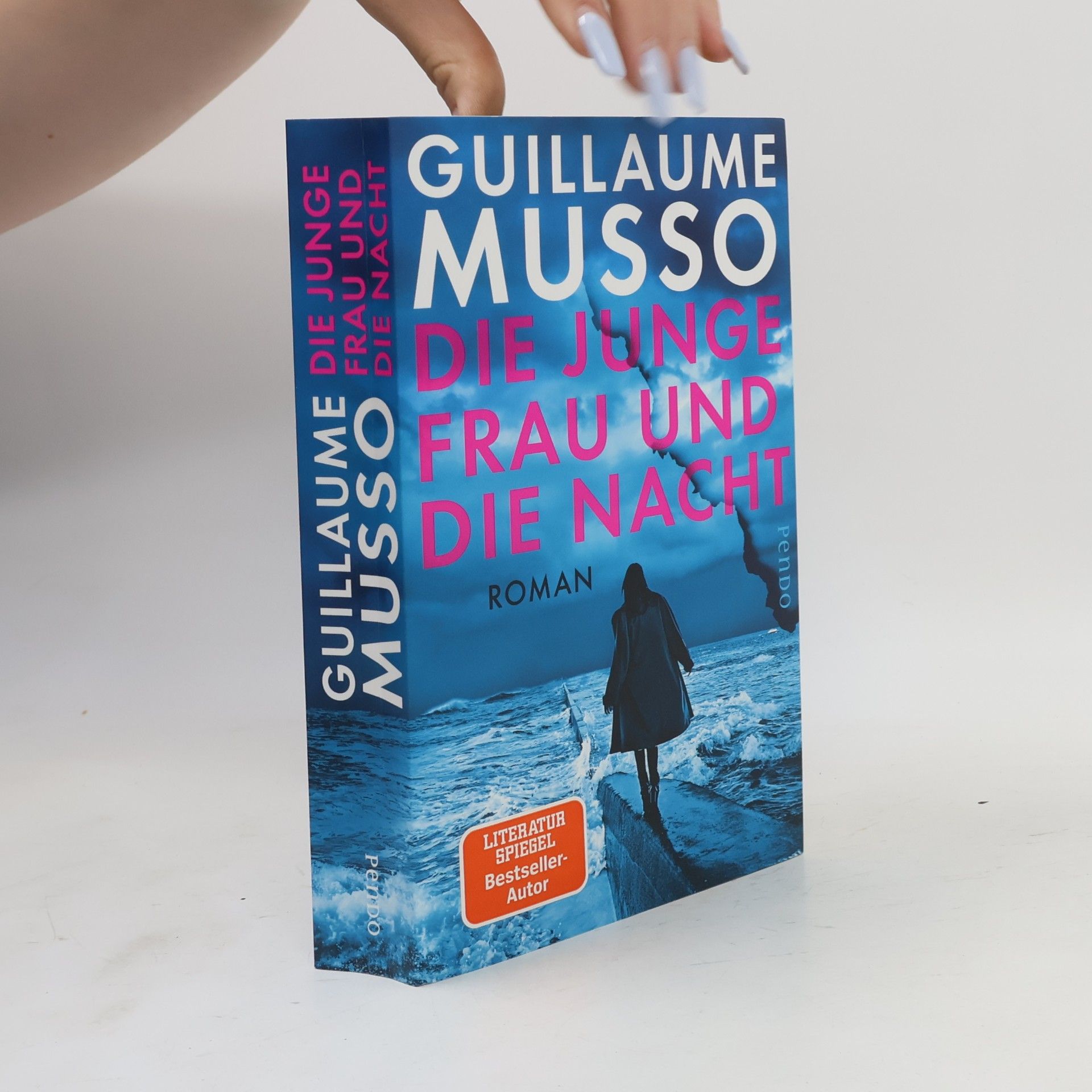 Guillaume Musso Die junge Frau und die Nacht