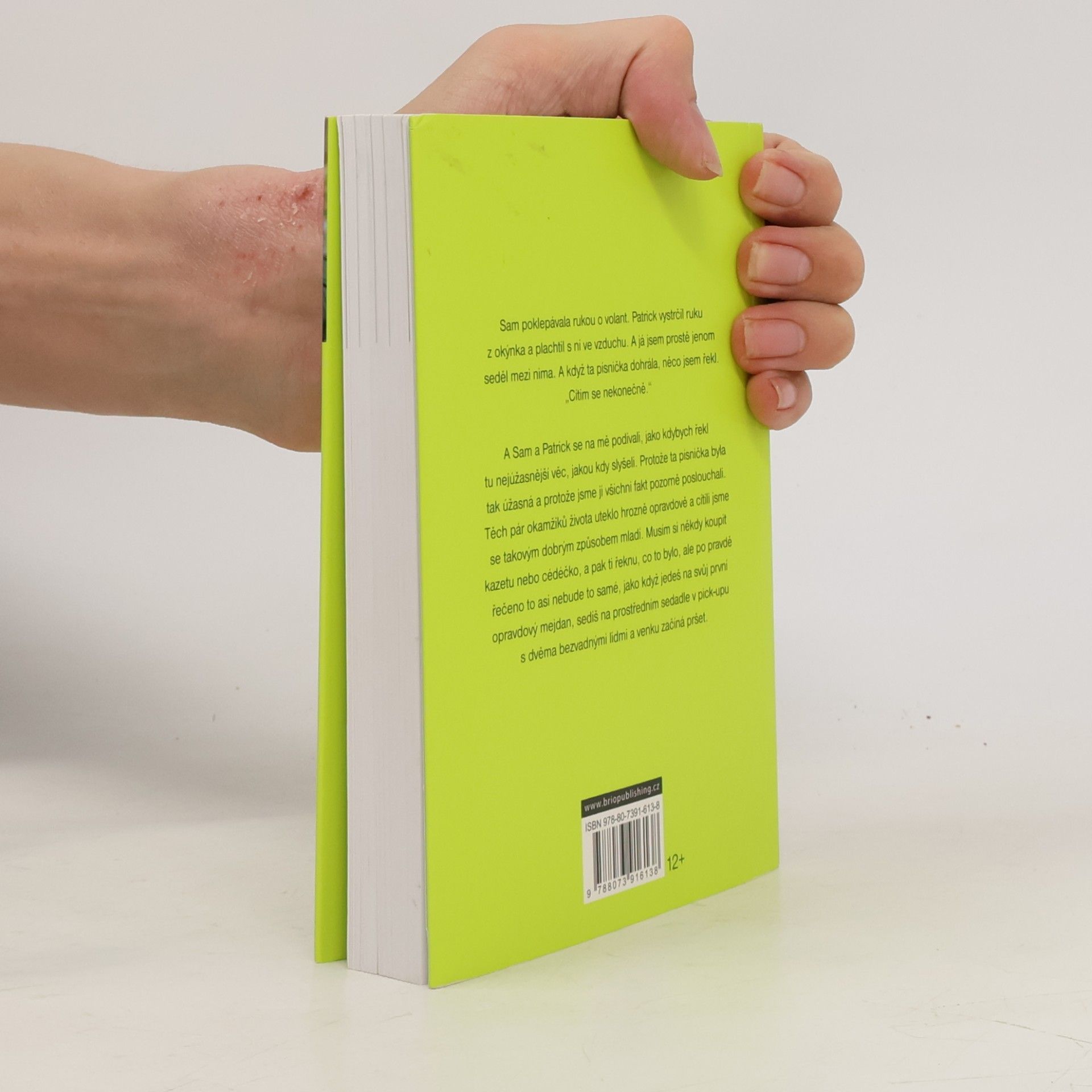 Stephen Chbosky Ten, kdo stojí v koutě
