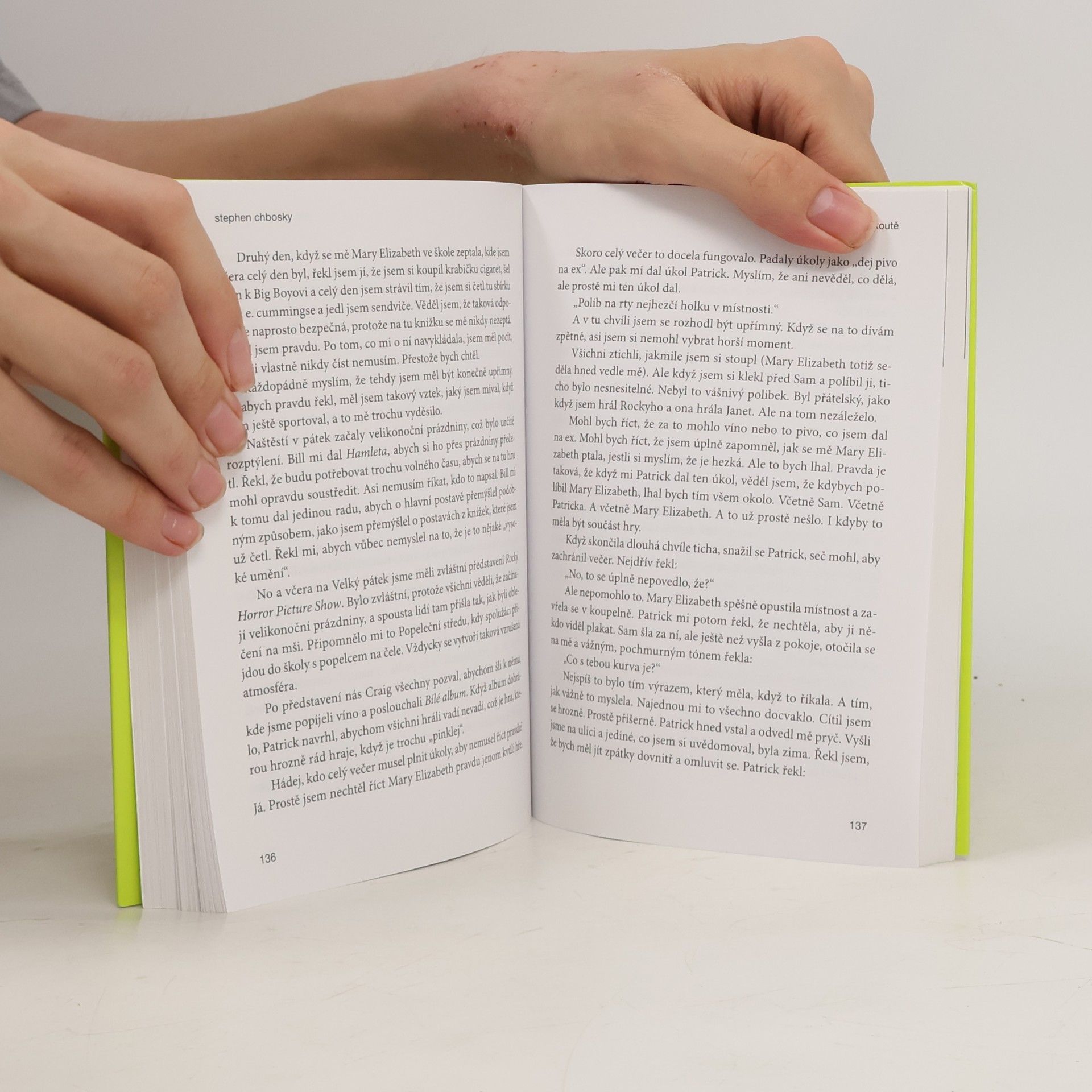 Stephen Chbosky Ten, kdo stojí v koutě