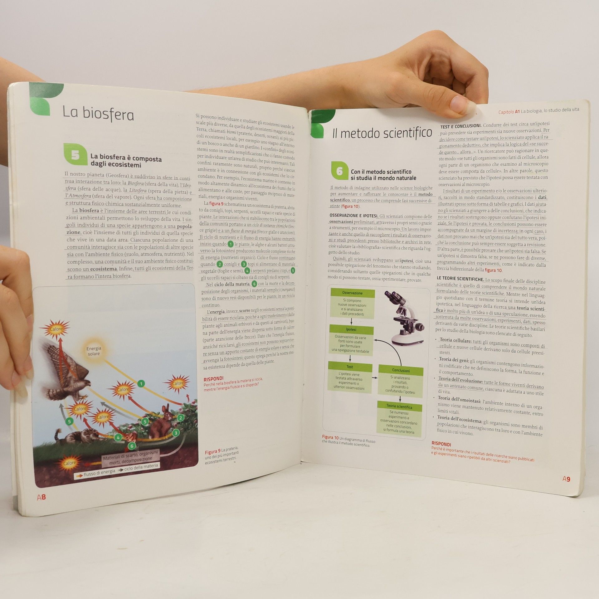 Sylvia S. Mader Immagini e concetti della biologia. Per le Scuole superiori. Con Contenuto digitale (fornito elettronicamente). Seconda edizione.
