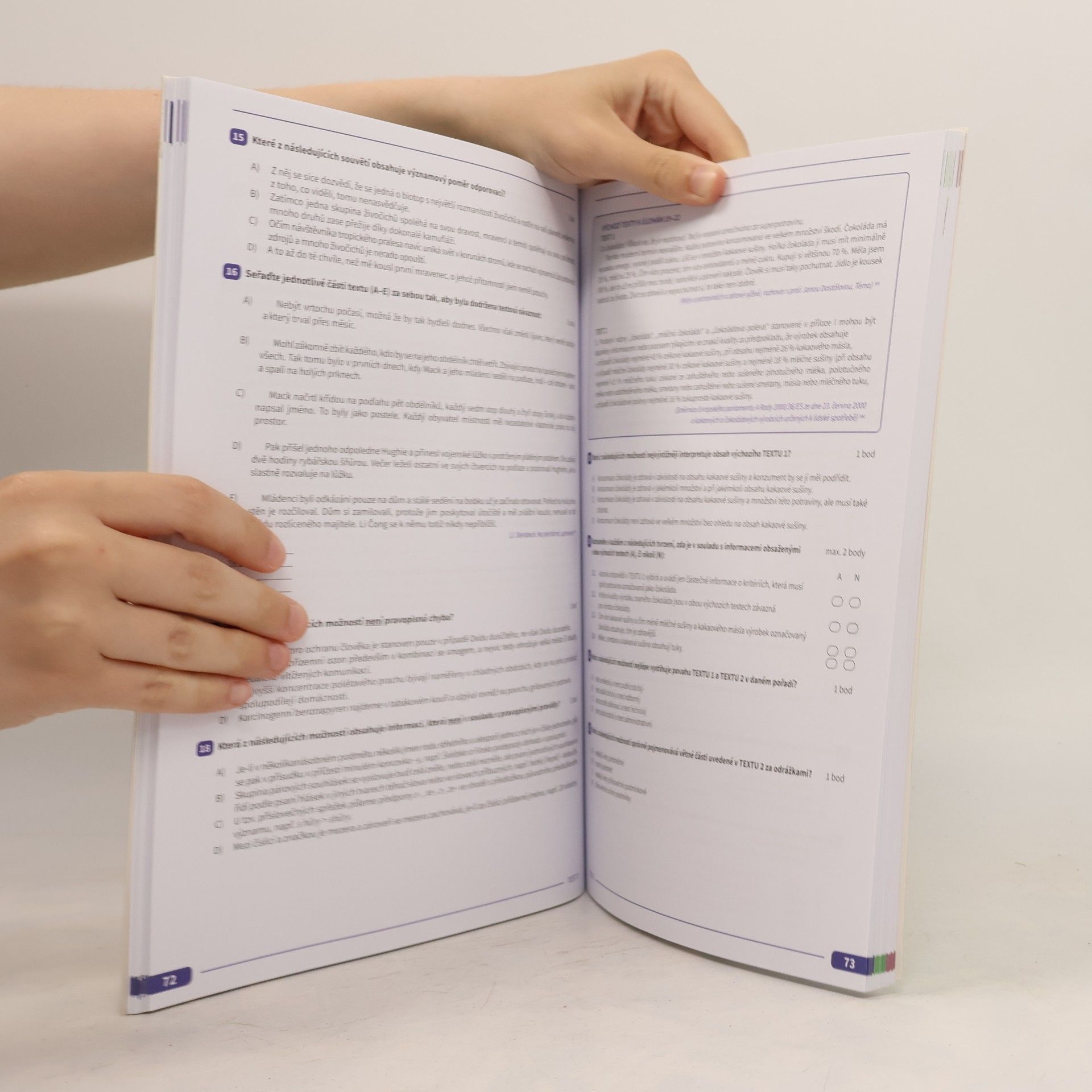 Various authors Maturita v pohodě. Český jazyk a literatura