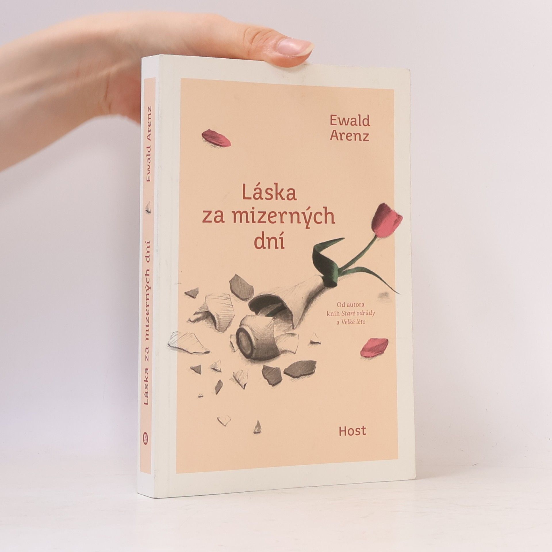 Ewald Arenz Láska za mizerných dní