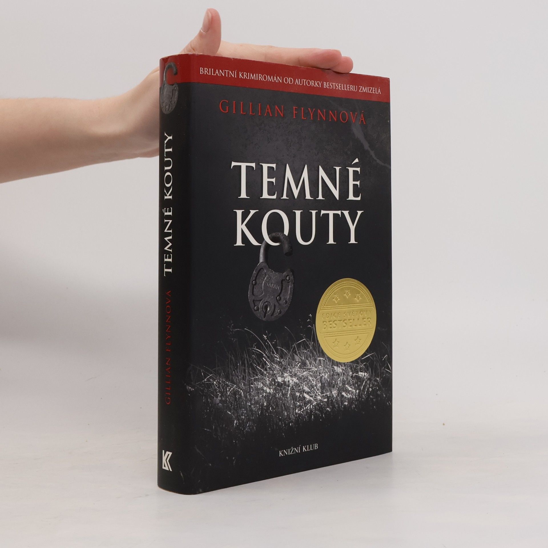 Gillian Flynn Temné kouty