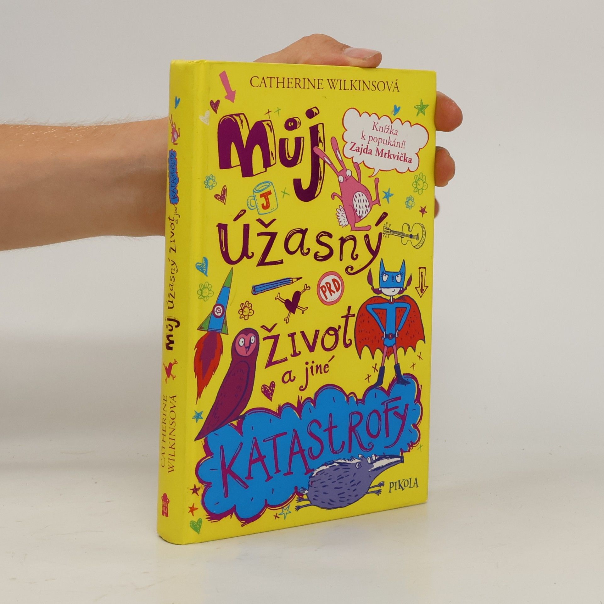 Sarah Horne Můj úžasný život a jiné katastrofy