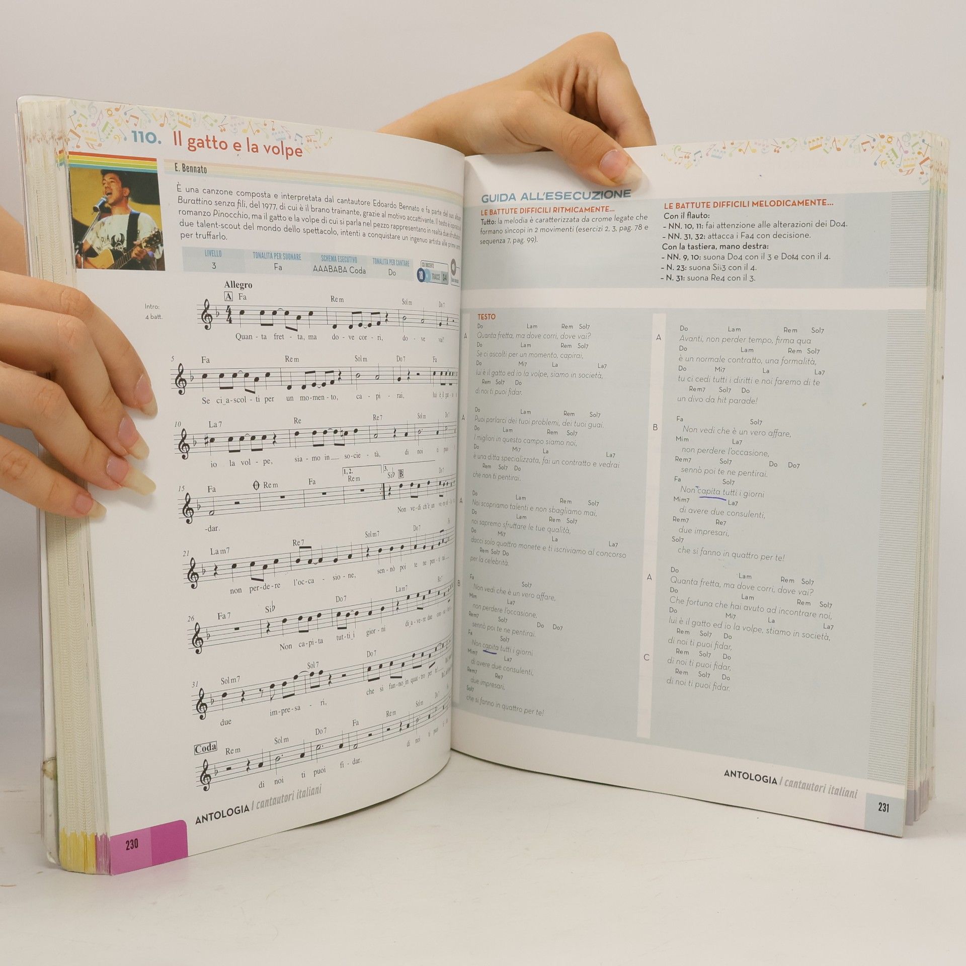 Auteurscollectief Sulle note di uno Stradivari