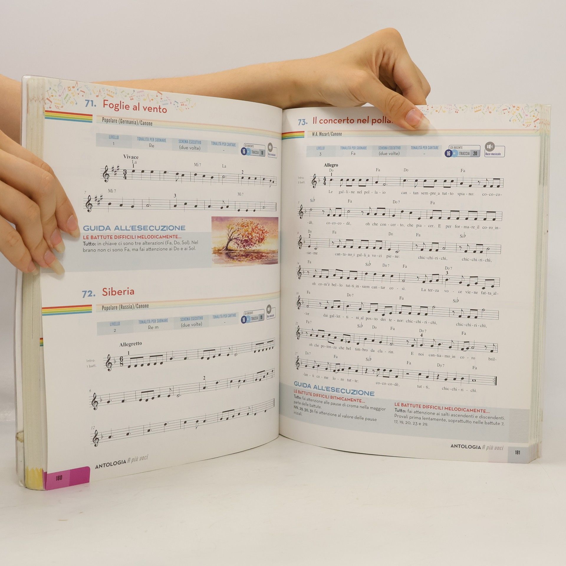 Auteurscollectief Sulle note di uno Stradivari