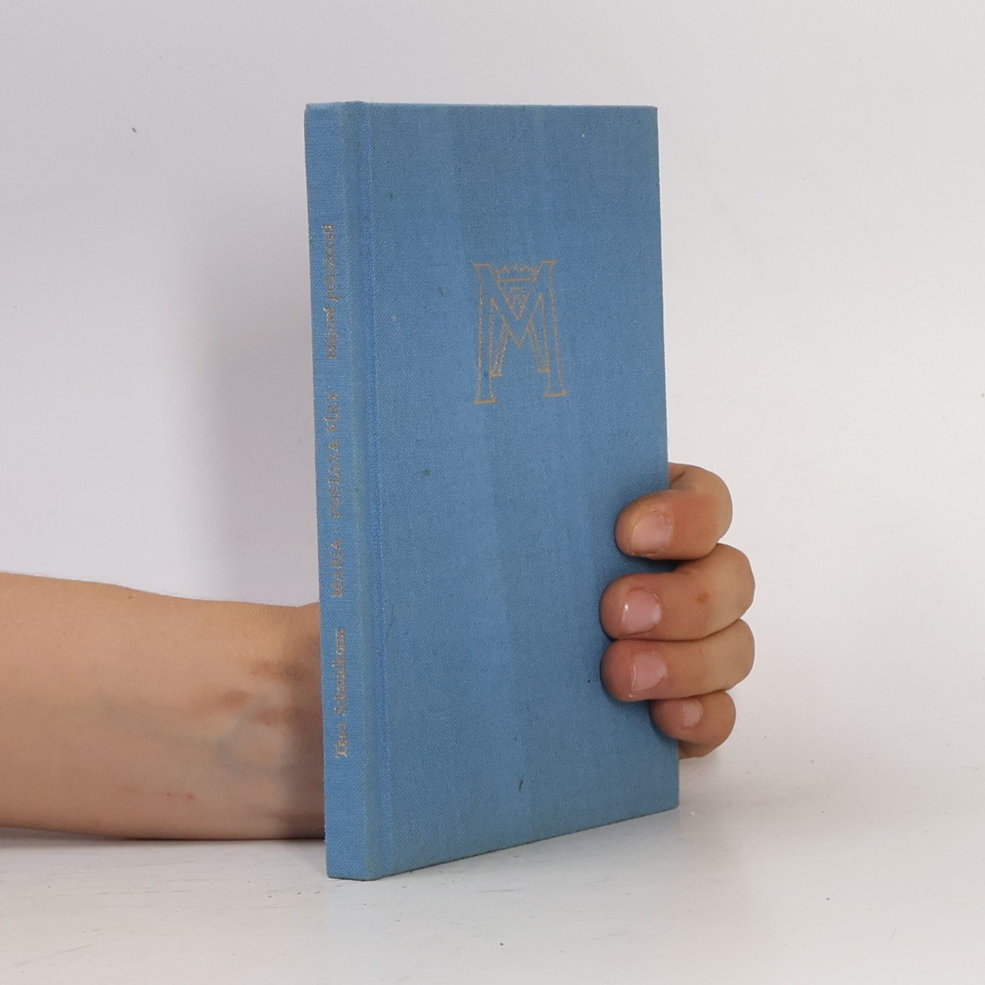 Václav Dvořák Maria - postava víry