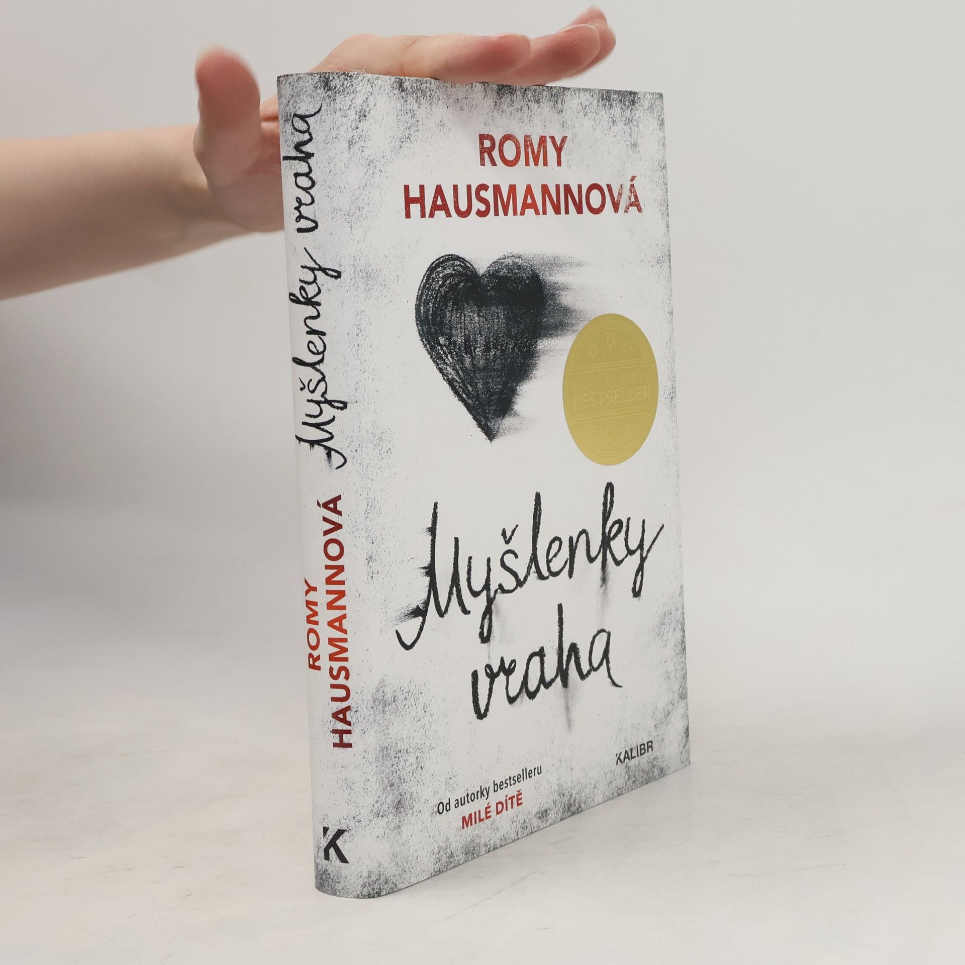Romy Hausmann Myšlenky vraha