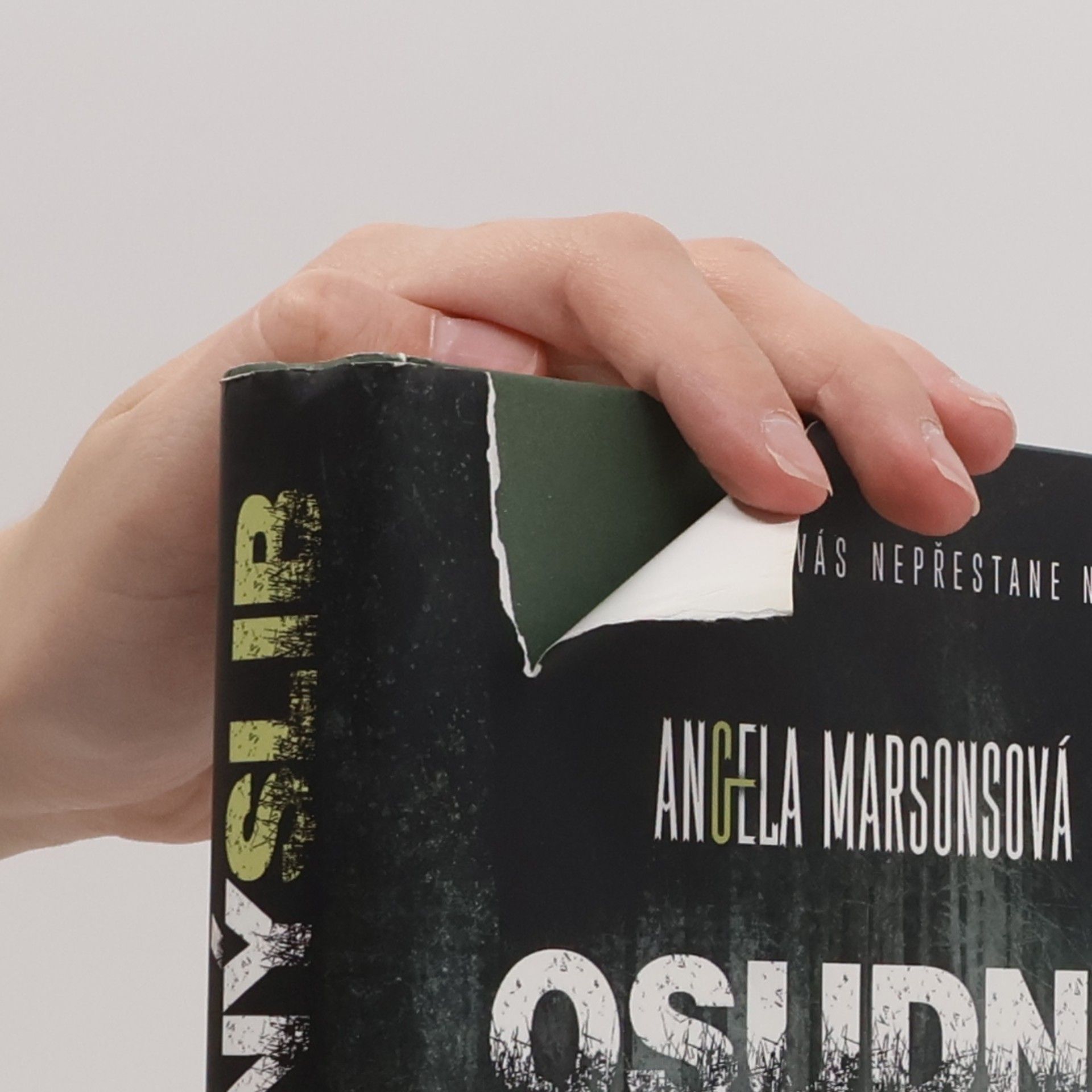 Angela Marsons Osudný slib