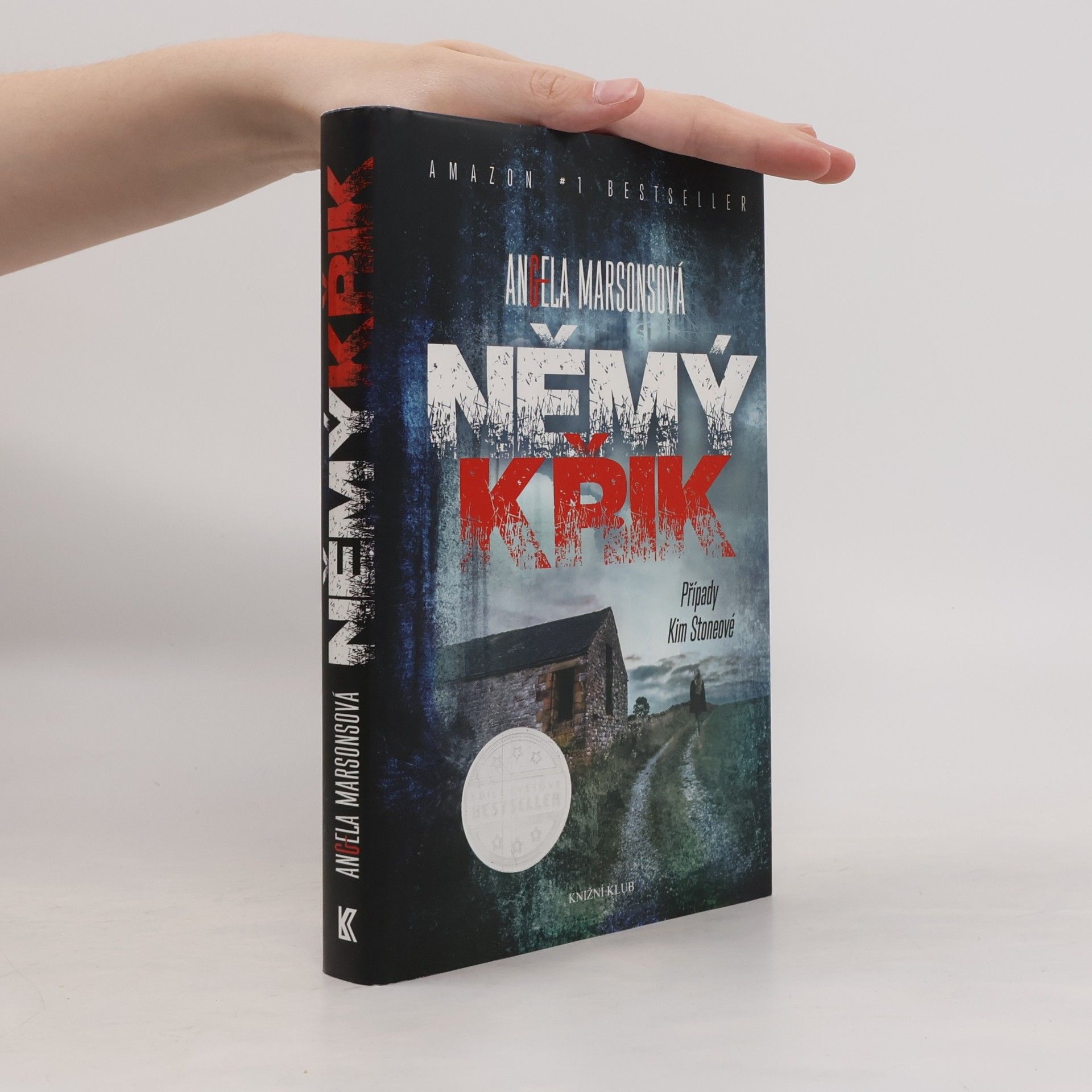 Angela Marsons Němý křik