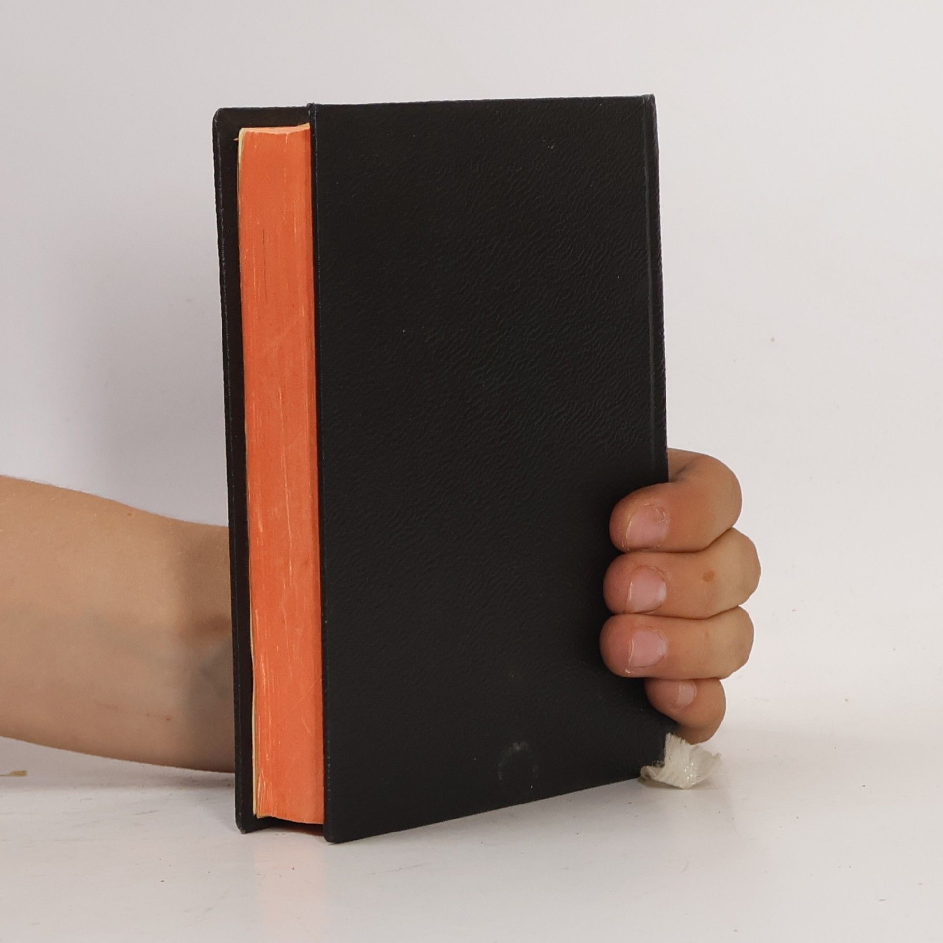 Autorenkollektiv Nový Zákon a Kniha Žalmů