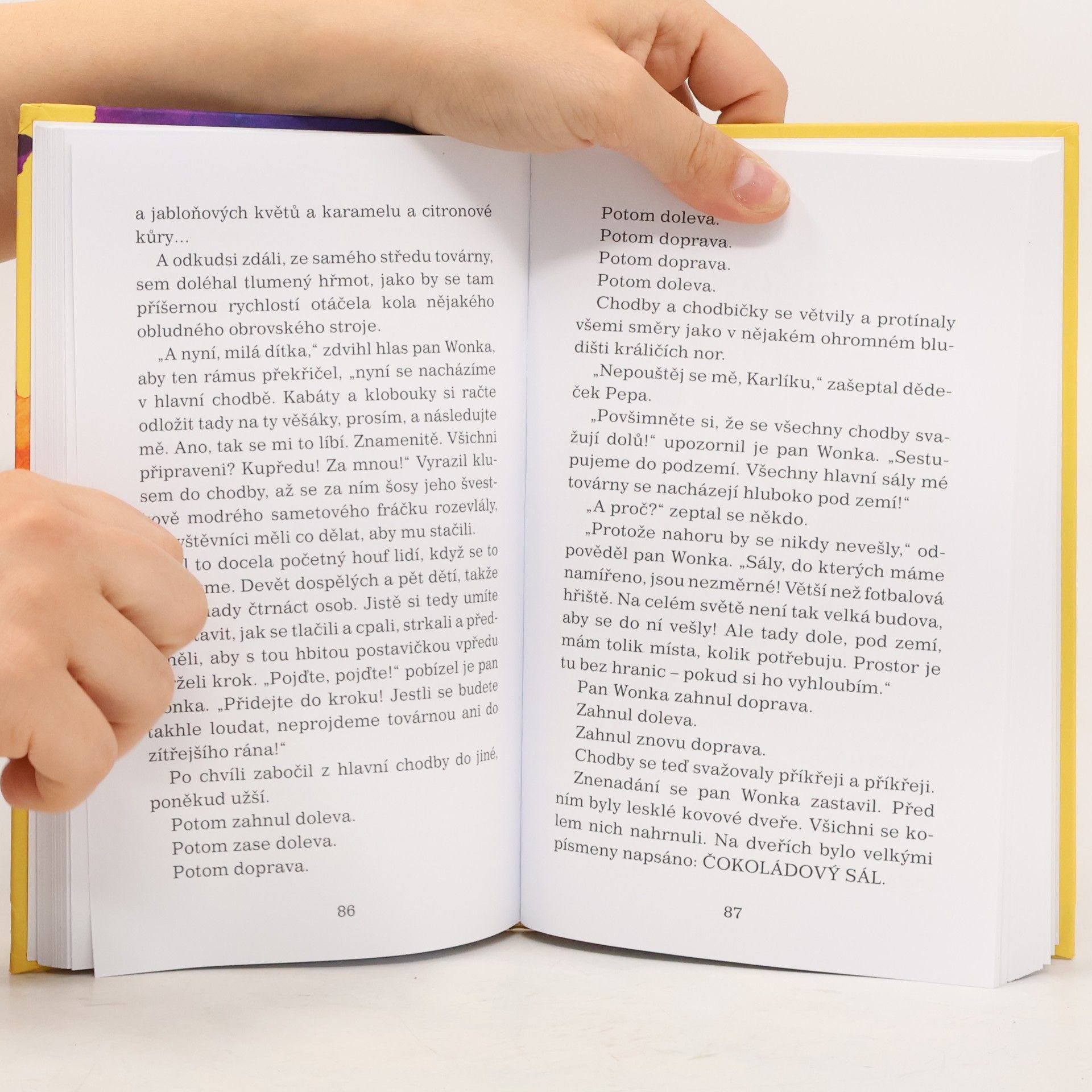 Roald Dahl Karlík a továrna na čokoládu