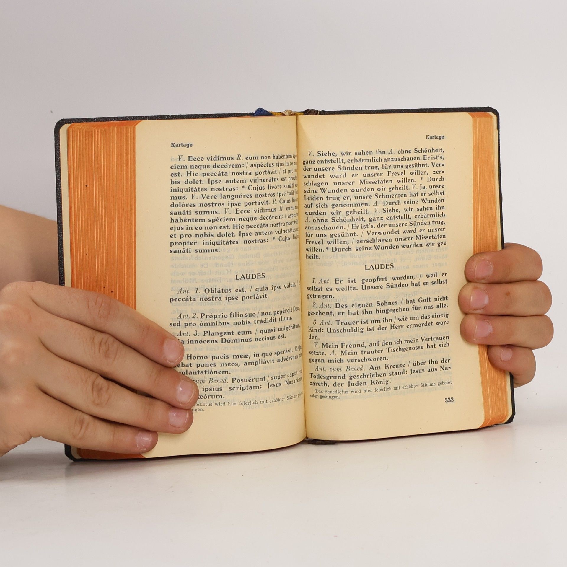 Hildebrand Fleischmann Officium Divinum. Parvum