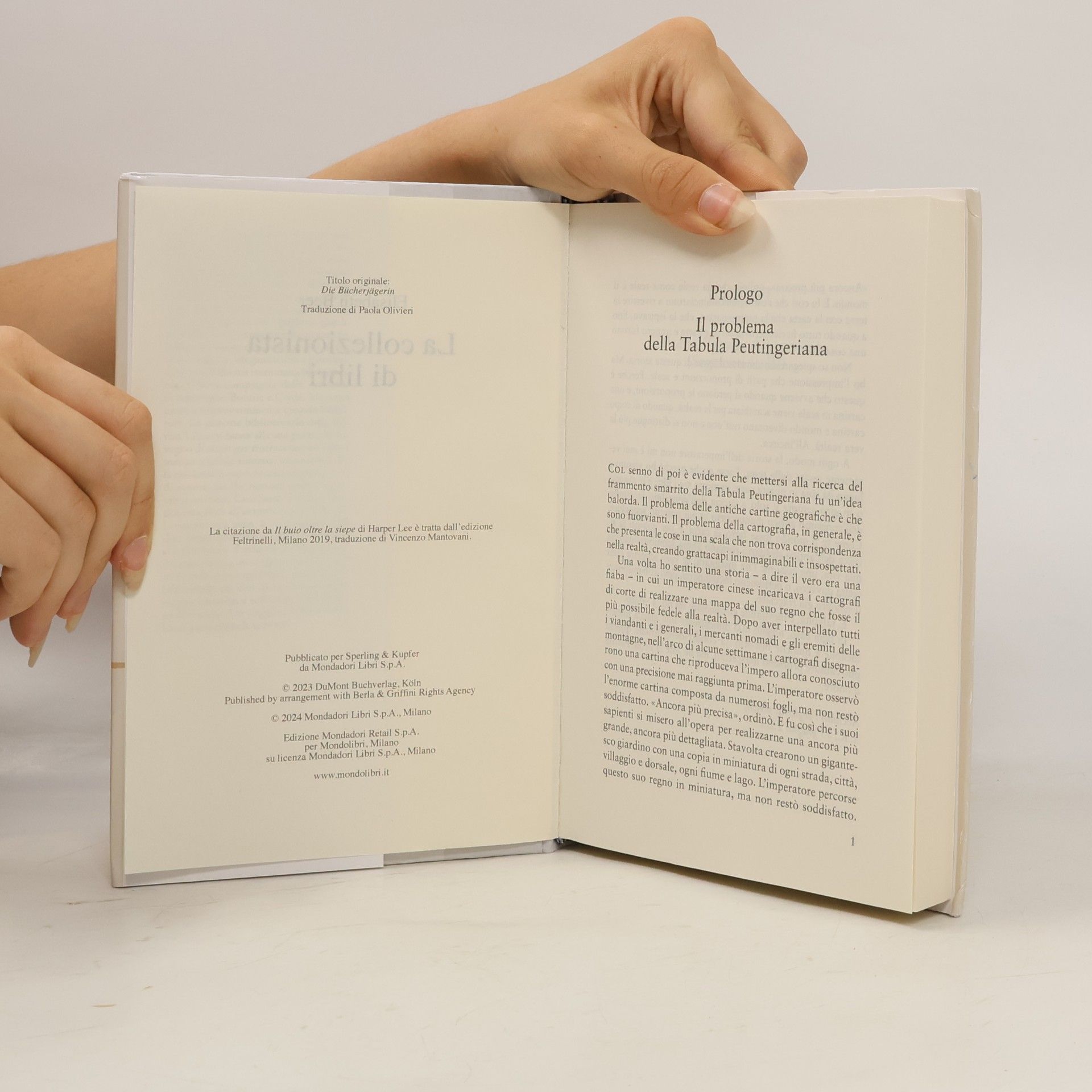 Elisabeth Beer La collezionista di libri