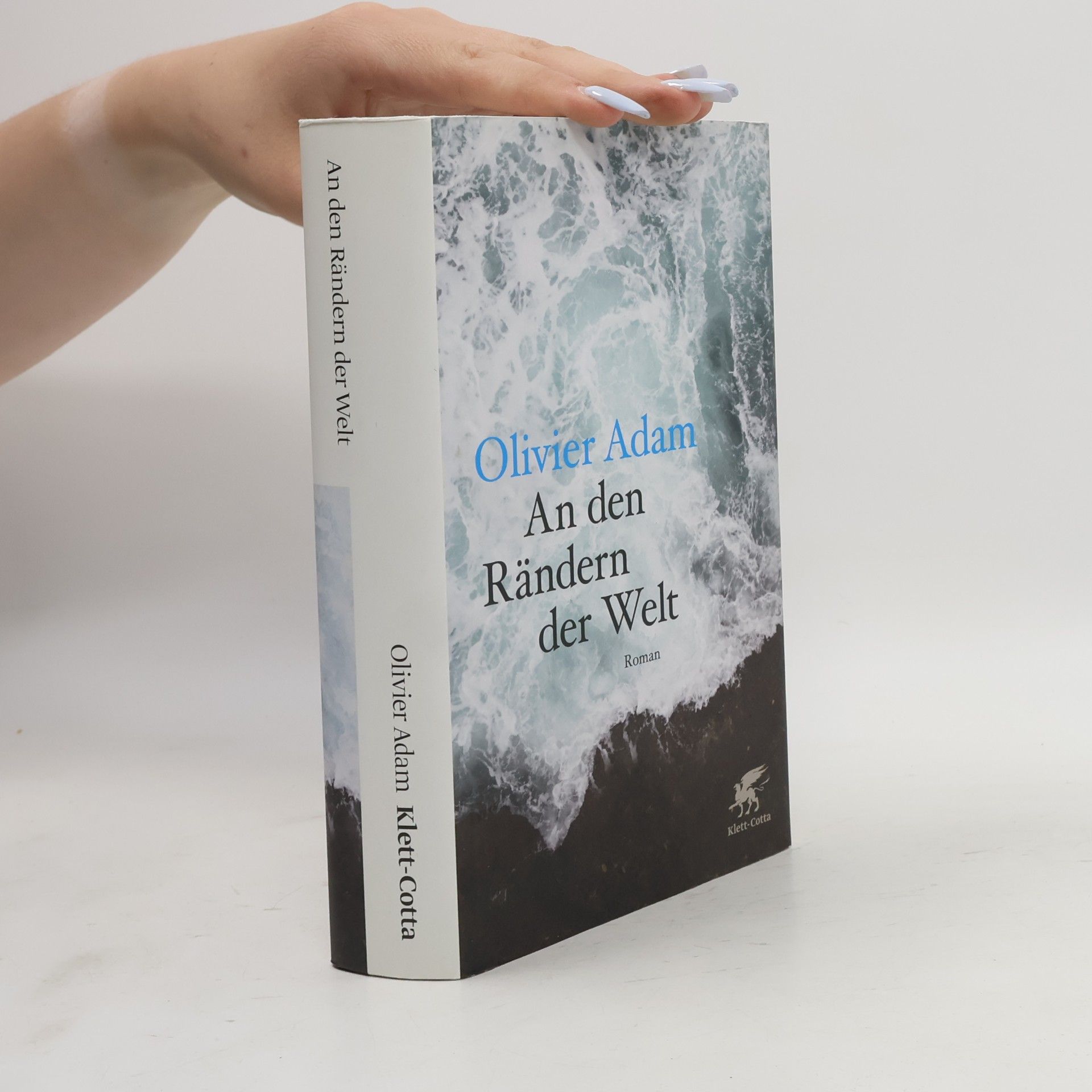 Olivier Adam An den Rändern der Welt