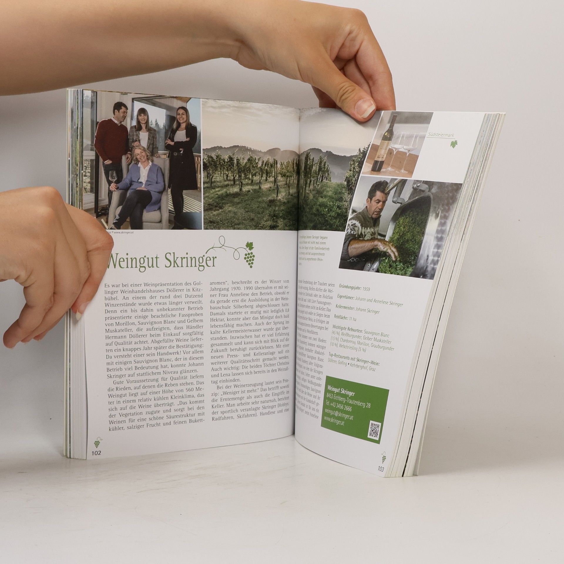 Rudolf Knoll Das ultimative Weinbuch - Steiermark