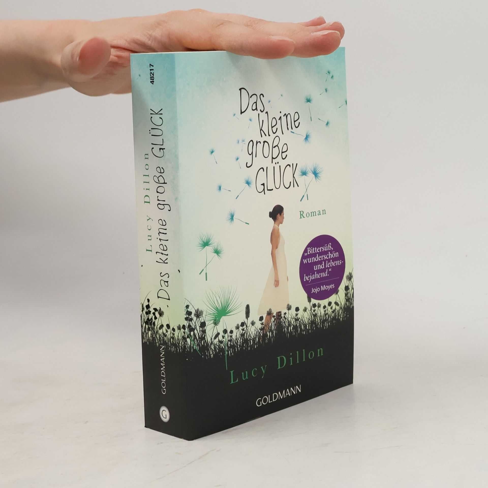 Lucy Dillon Das kleine große Glück