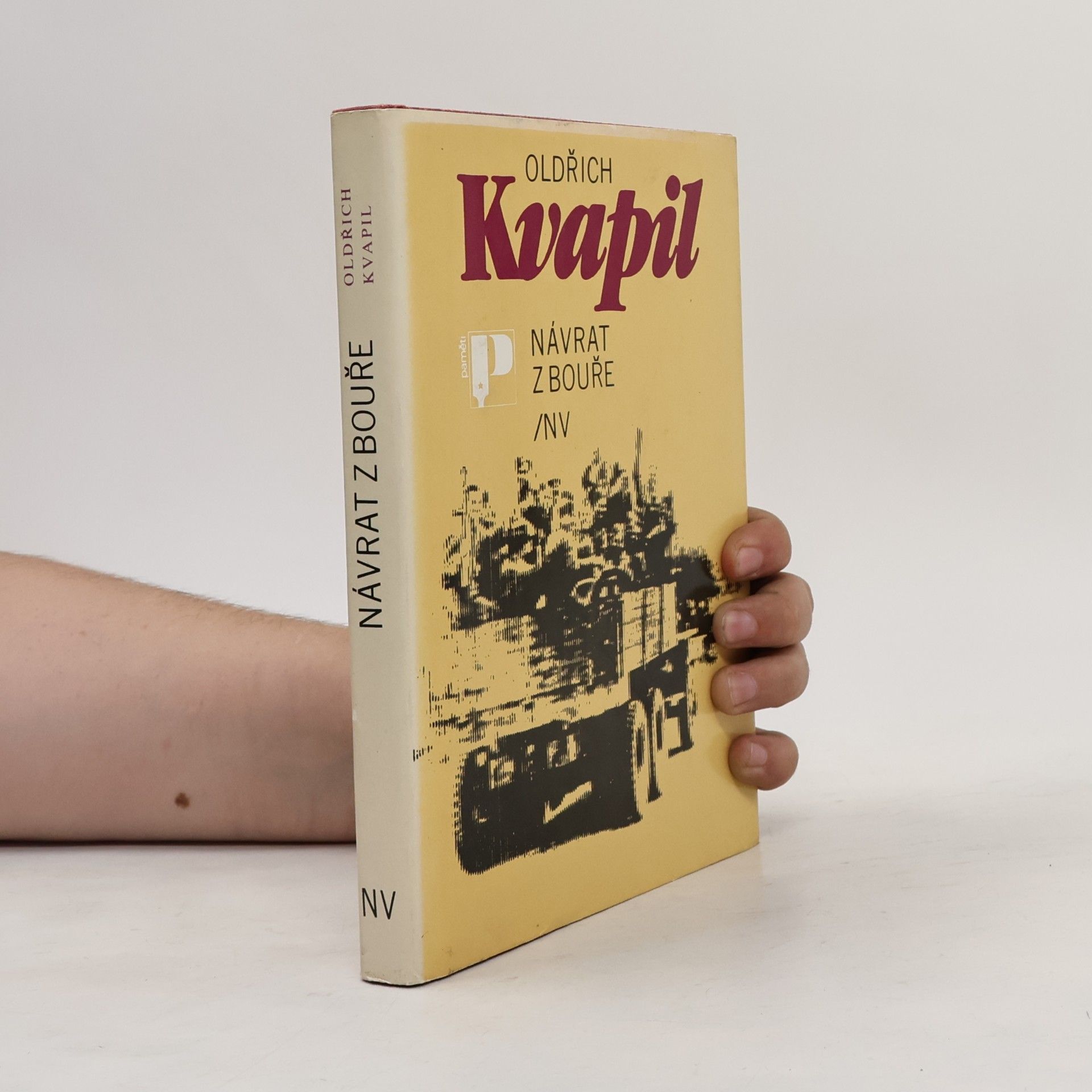 Oldřich Kvapil Návrat z bouře