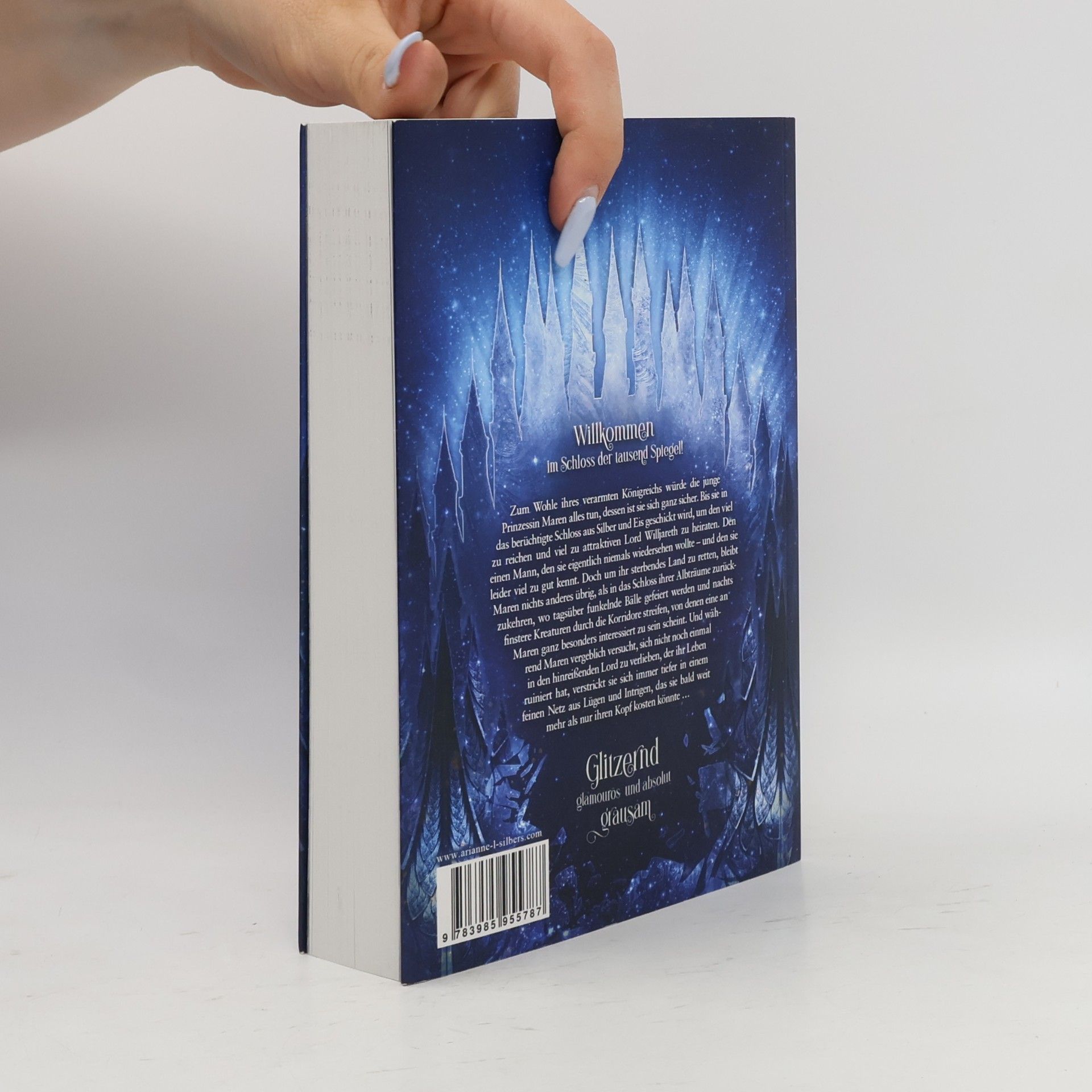 Arianne L. Silbers Ein Schloss aus Silber und Scherben