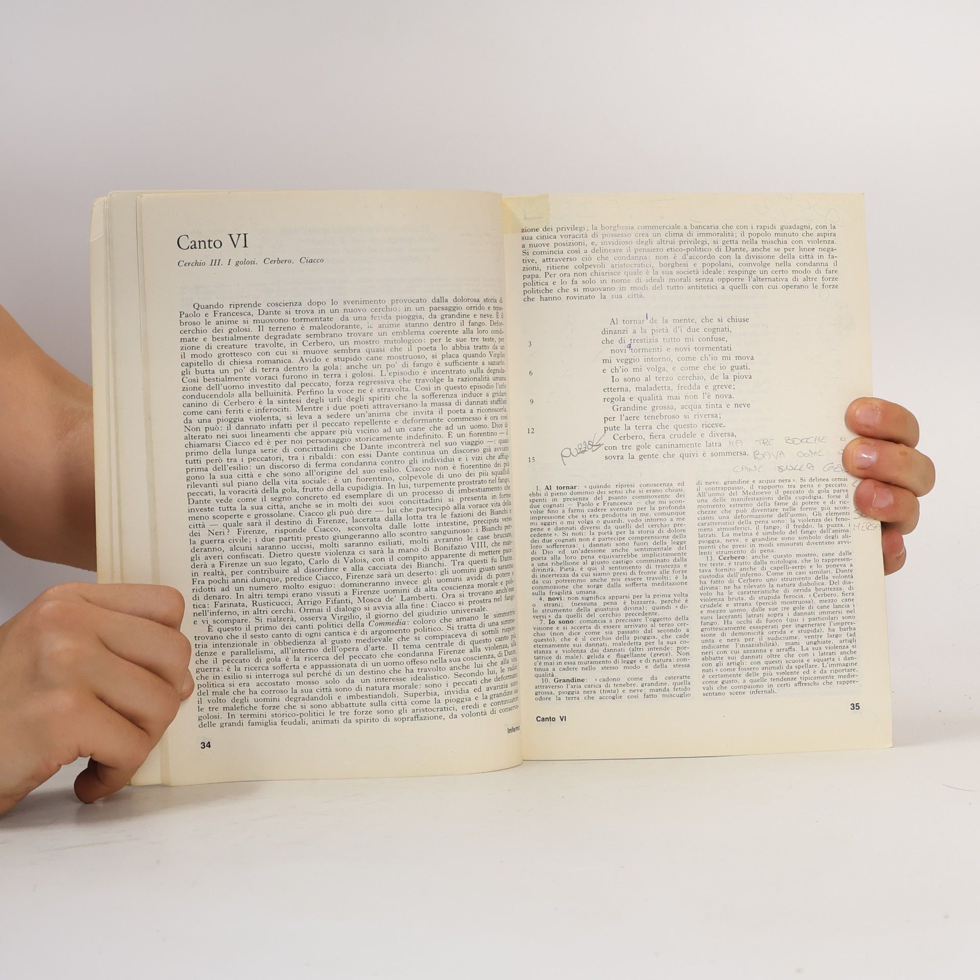 Dante Alighieri La Divina Commedia: Antologia
