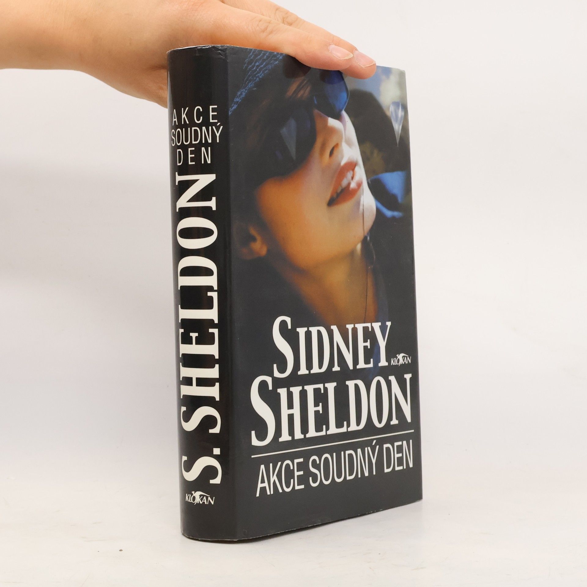 Sidney Sheldon Akce Soudný den