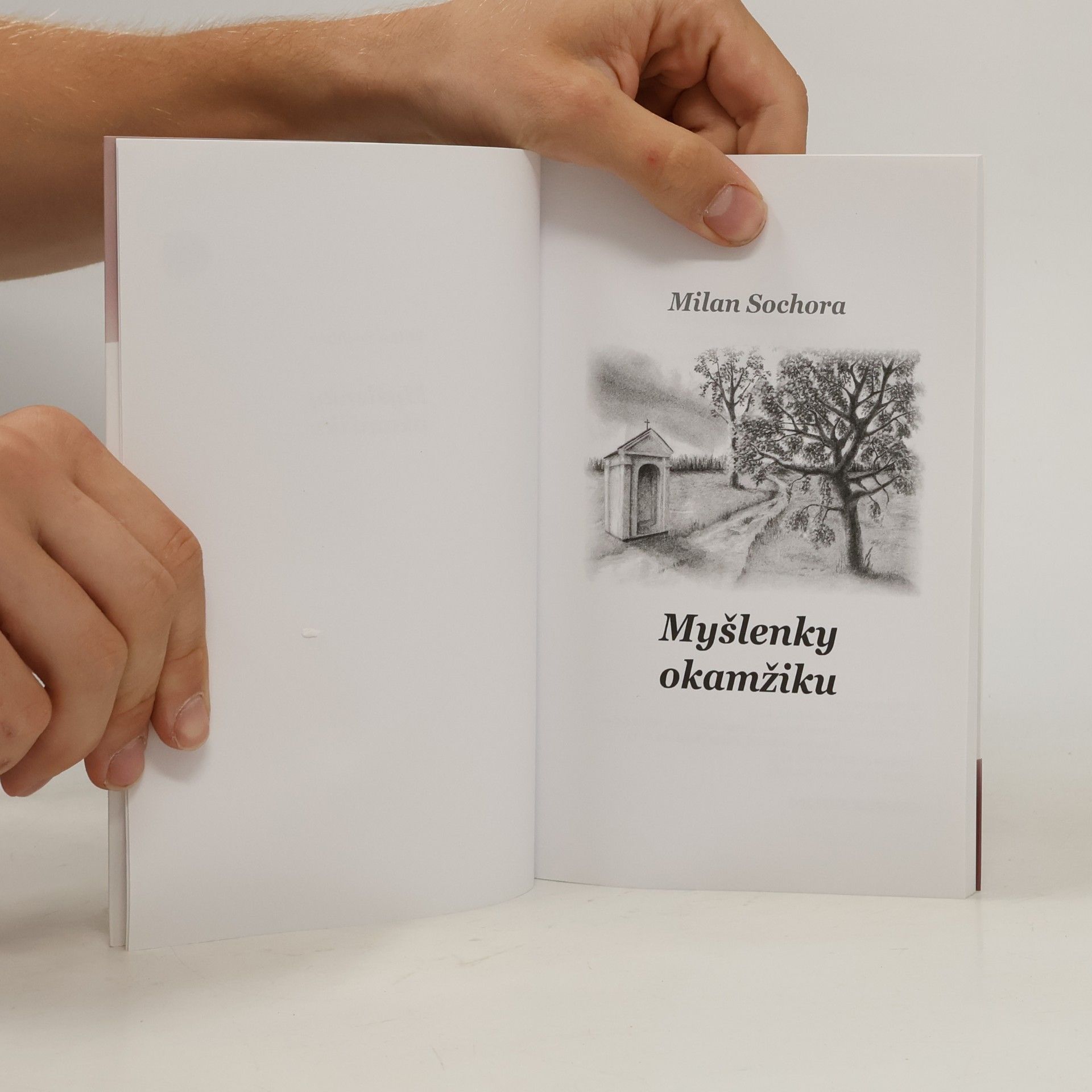 Milan Sochora Myšlenky okamžiku