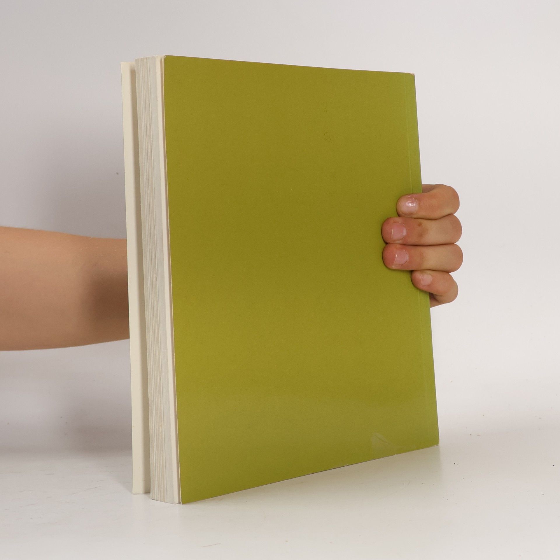 Collectif d'auteurs Kunsthaus Zürich Sammlung