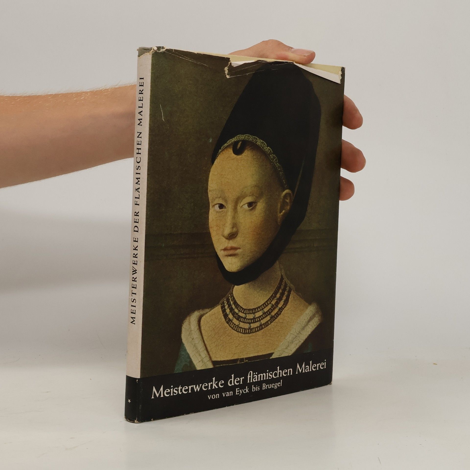 Autorenkollektiv Meisterwerke der flämischen Malerei von van Eyck bis Bruegel