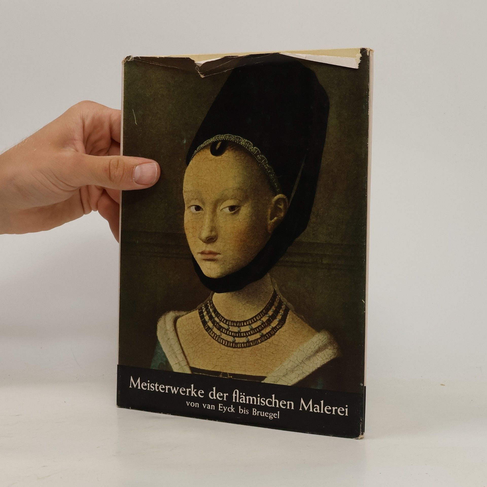 Autorenkollektiv Meisterwerke der flämischen Malerei von van Eyck bis Bruegel