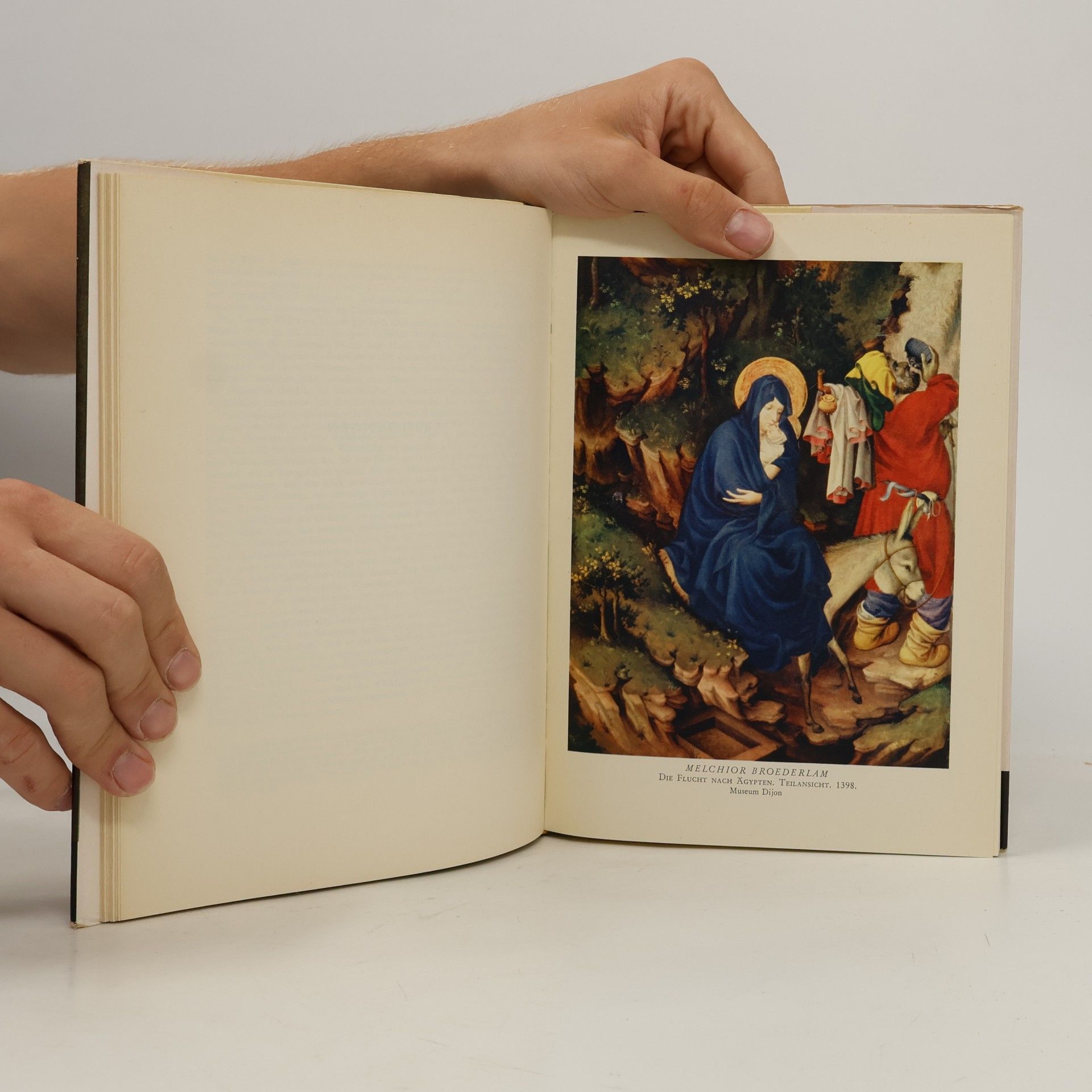 Autorenkollektiv Meisterwerke der flämischen Malerei von van Eyck bis Bruegel