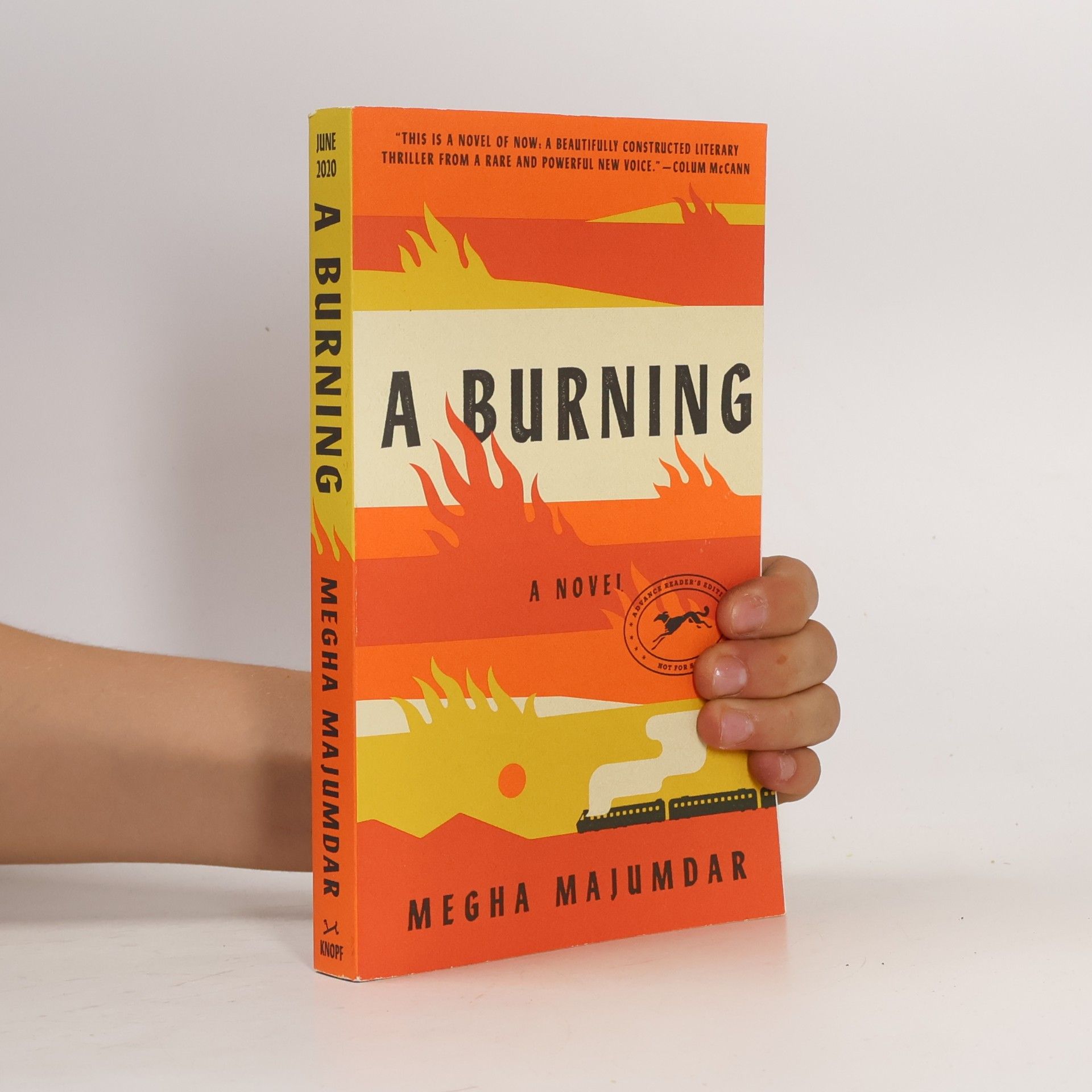 Megha Majumdar A burning
