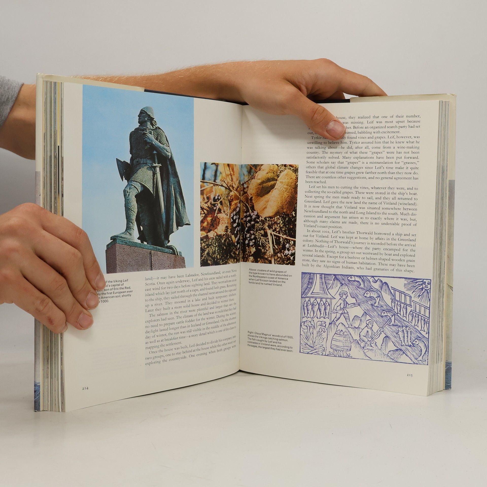 Collectif d'auteurs The search Begins