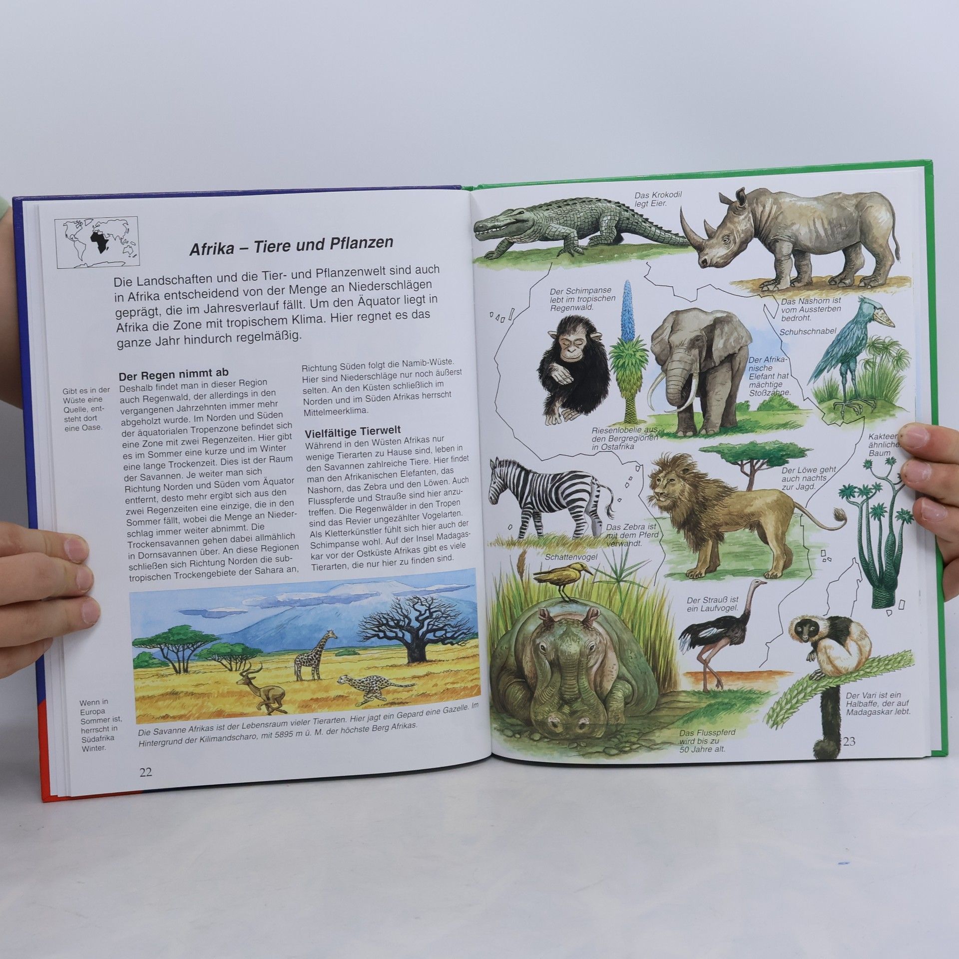 Michael Holtmann Der große Xenos-Weltatlas für Kinder