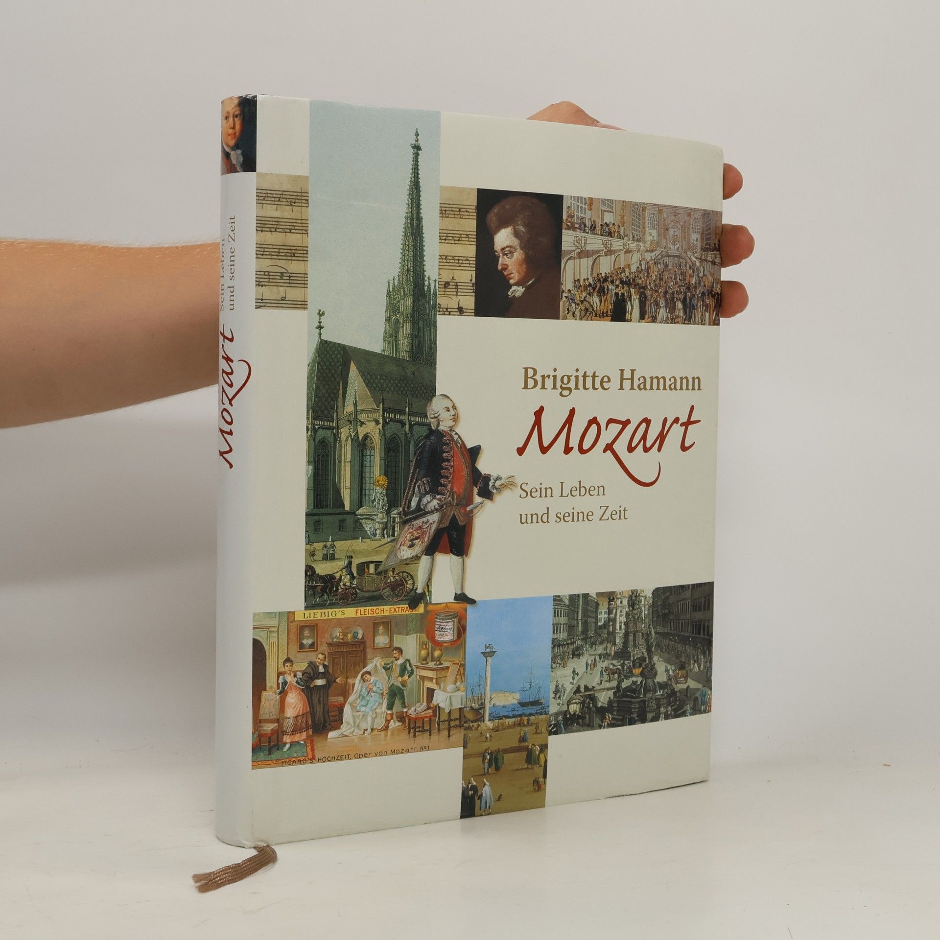 Brigitte Hamann Mozart: Sein Leben und seine Zeit