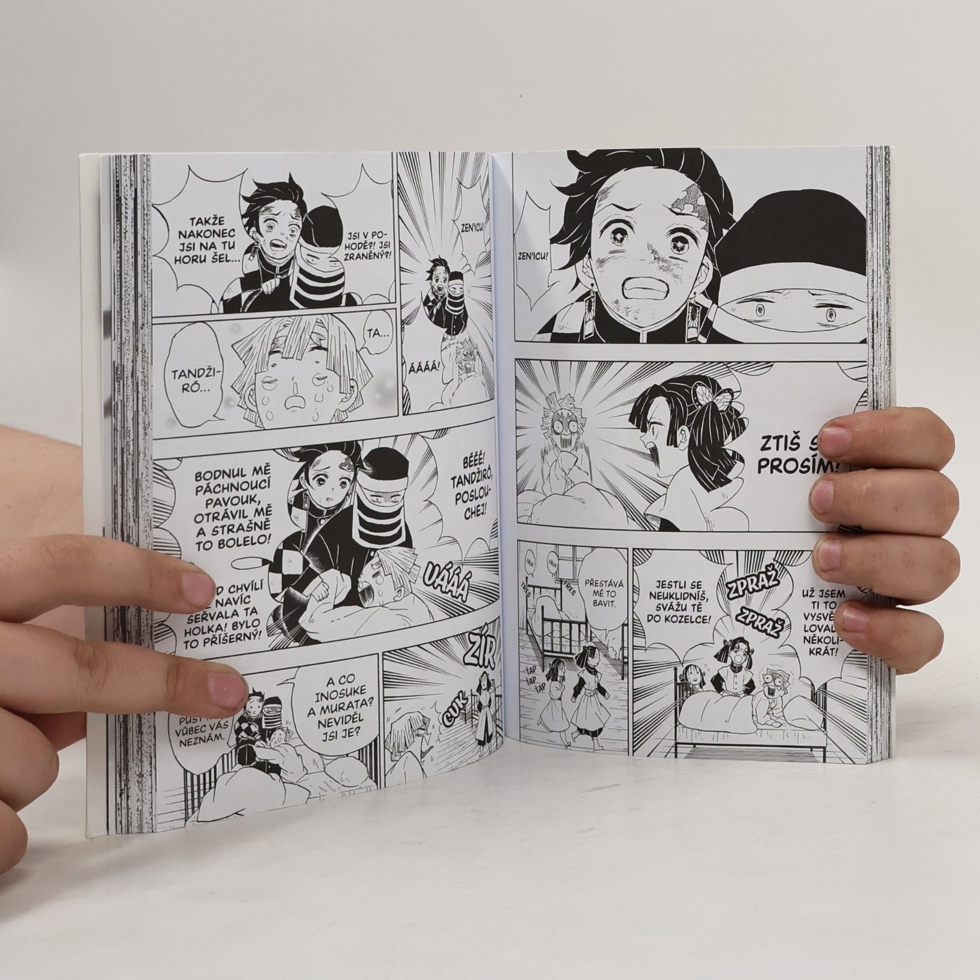 Koyoharu Gotōge Zabiják démonů. 6, Soud Pilířů