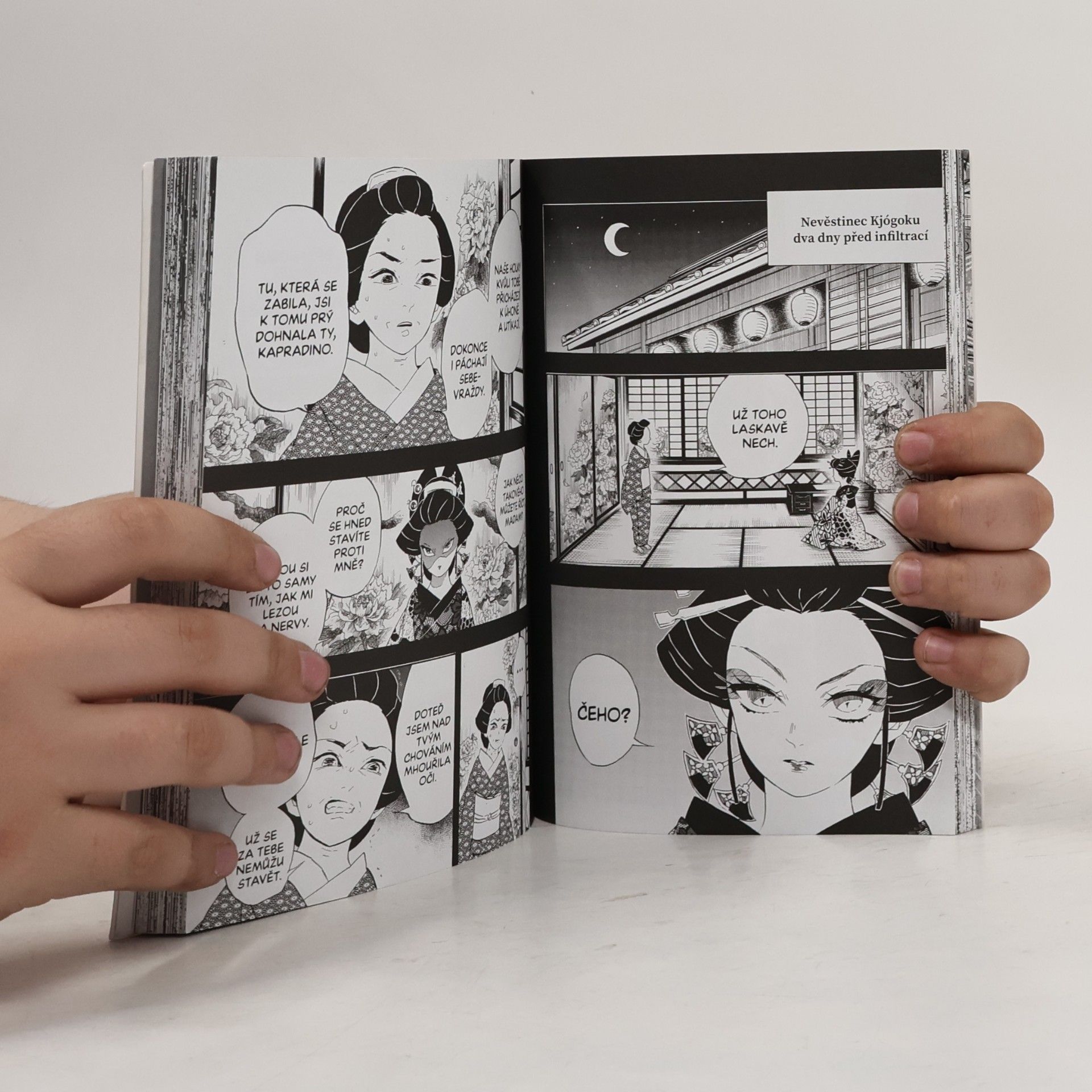 Koyoharu Gotoge Zabiják démonů 9: Velká infiltrace vykřičené čtvrti