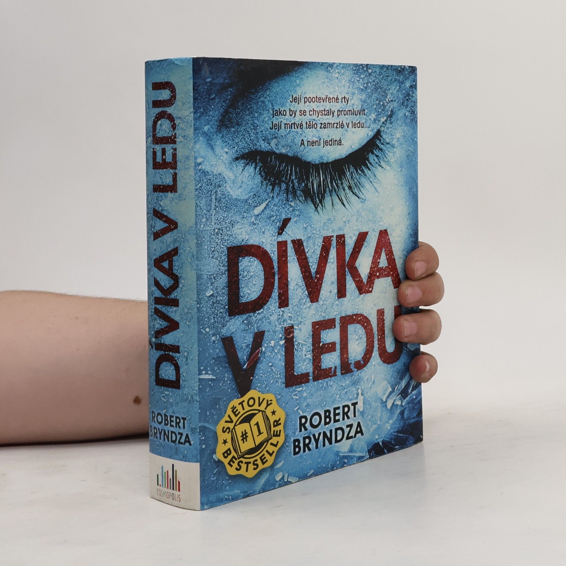 Dívka v ledu