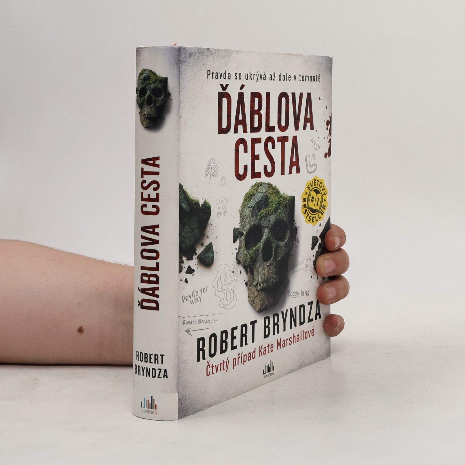 Robert Bryndza Ďáblova cesta