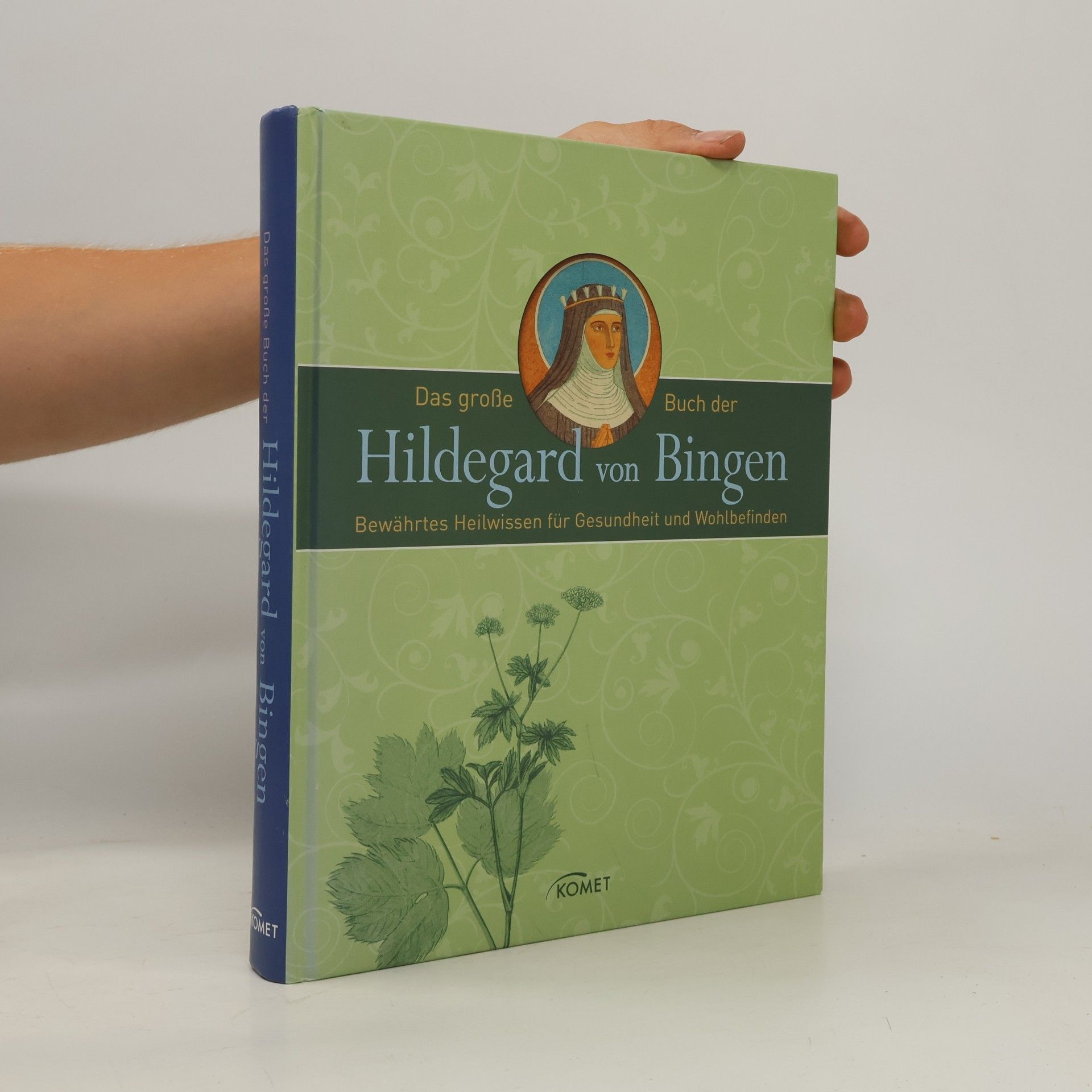 Hildegarda z Bingenu Das große Buch der Hildegard von Bingen