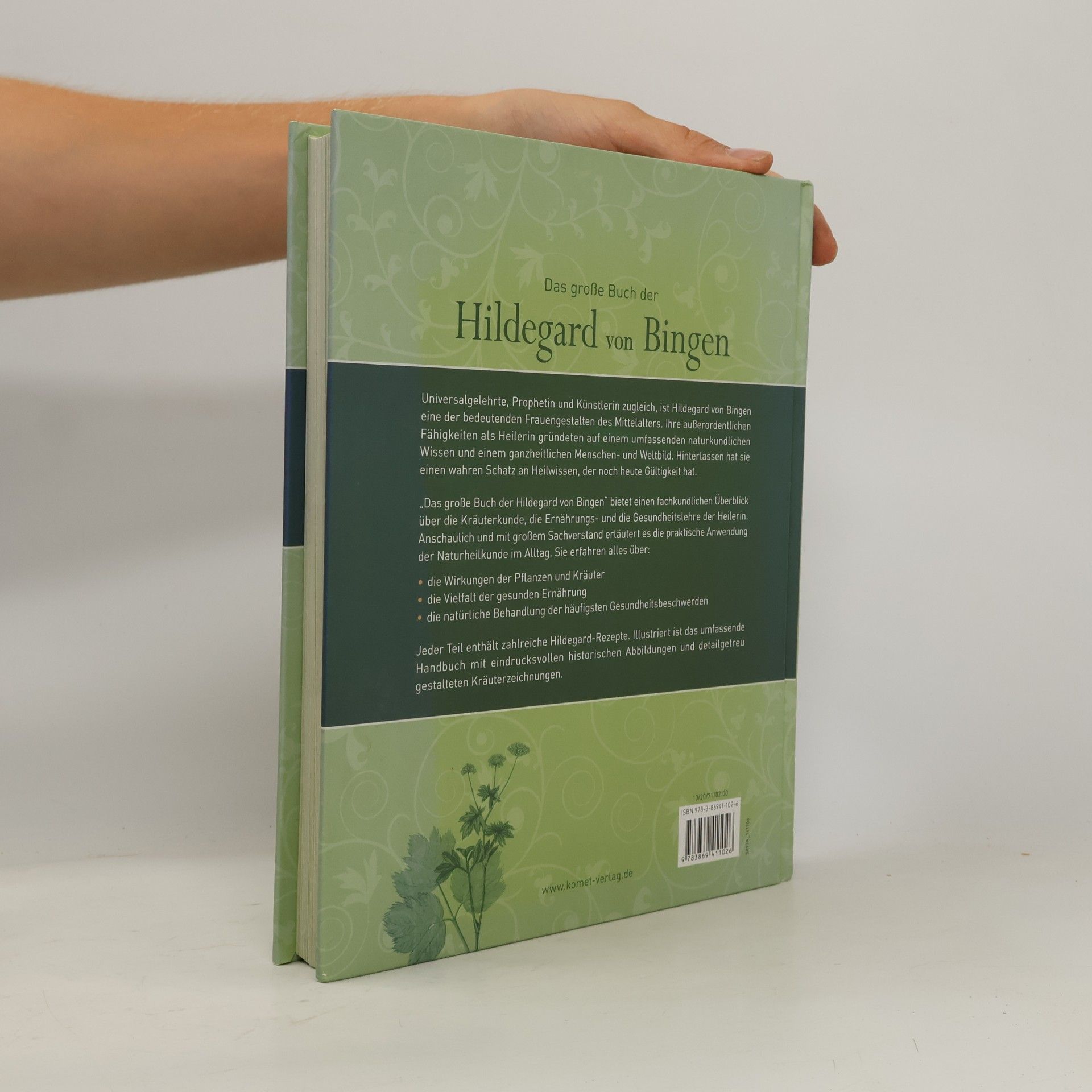 Hildegard von Bingen Das große Buch der Hildegard von Bingen