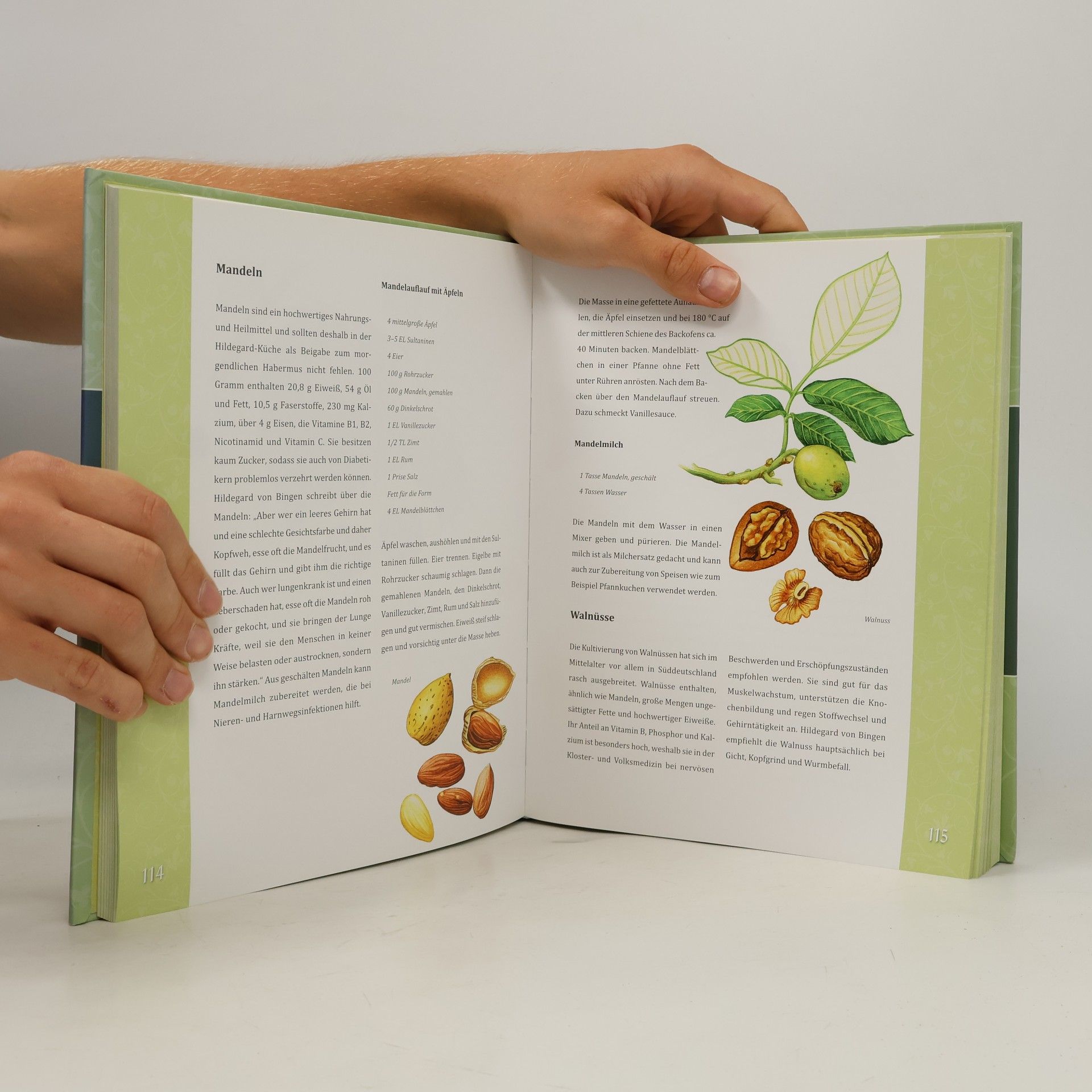 Hildegard von Bingen Das große Buch der Hildegard von Bingen